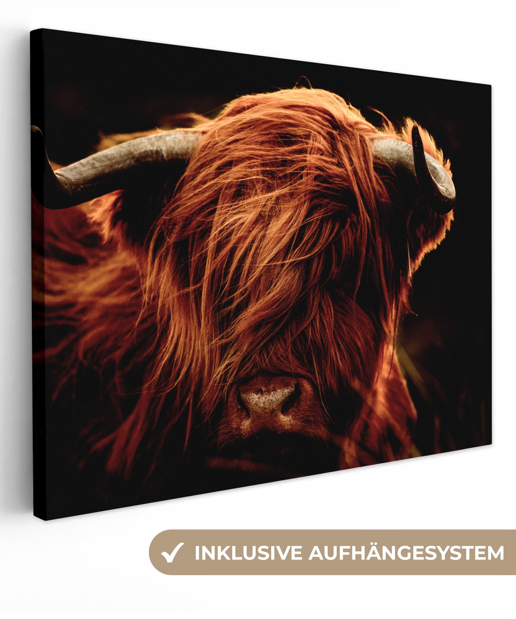 OneMillionCanvasses® Leinwandbild Schottischer Highlander - Kuh - Hörner - Porträt - Tiere, Schottisches Hochlandrind - Hörner (1 St), Wandbild Leinwandbilder, Aufhängefertig, Wanddeko 40x30 cm