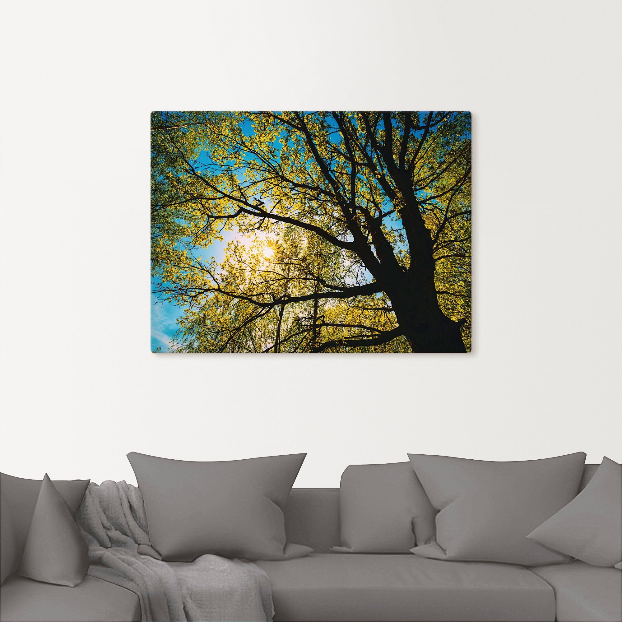 Frühlingssonne Wandbild Poster Alubild, St), oder Leinwandbild, Größen Wandaufkleber in (1 Baumkrone, durch Bäume Artland versch. als