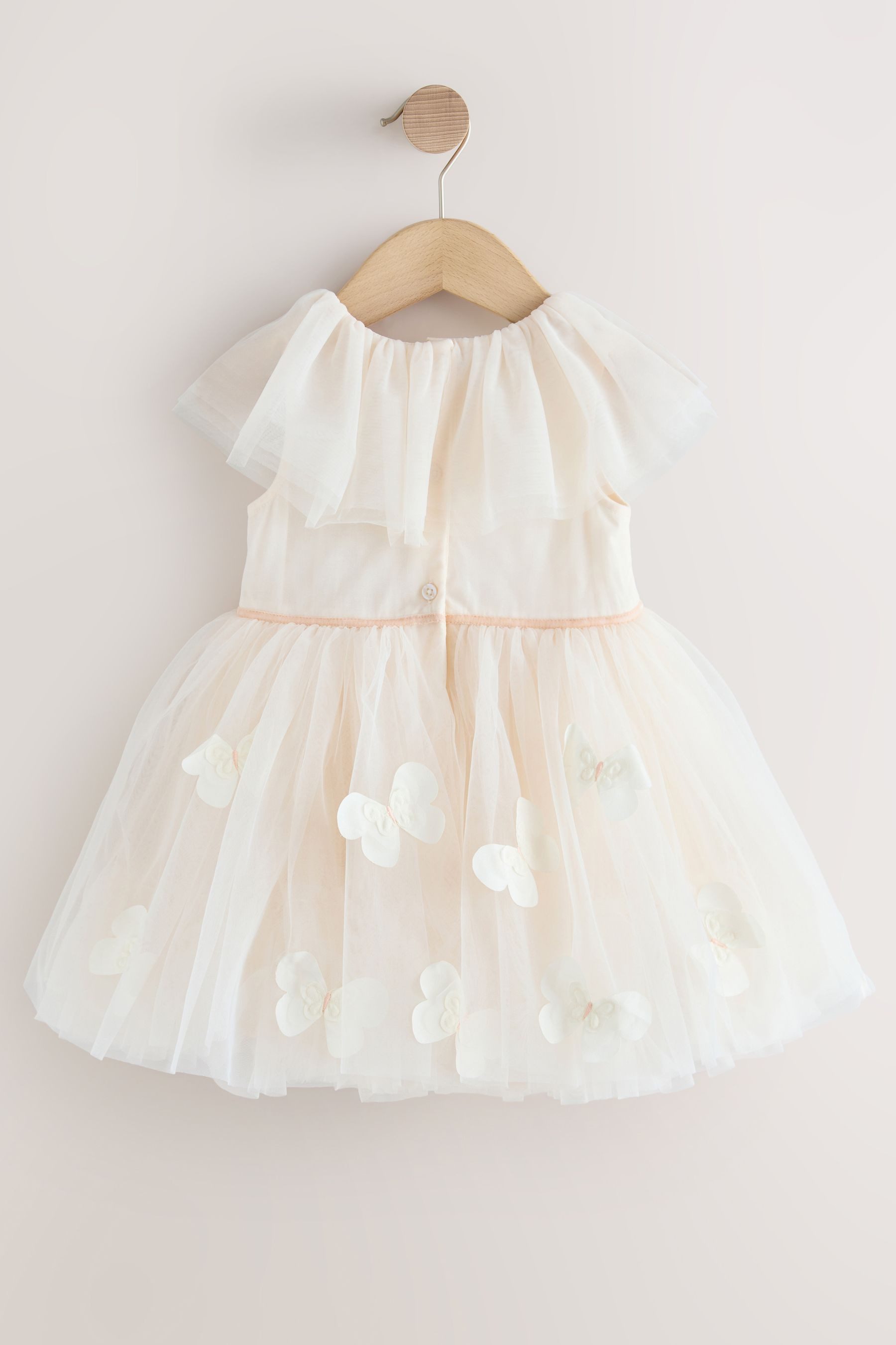 Next Tüllkleid Mesh-Kleid mit Rüschenkragen (1-tlg)