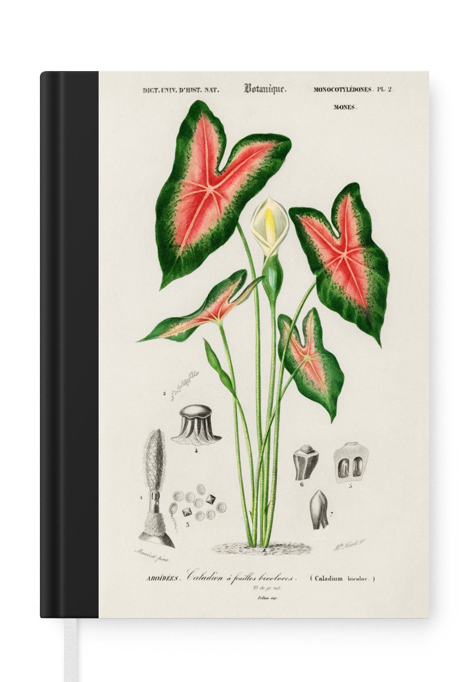 MuchoWow Notizbuch Jahrgang - Pflanze - Caladium, Journal, Merkzettel, Tagebuch, Notizheft, A5, 98 Seiten, Haushaltsbuch