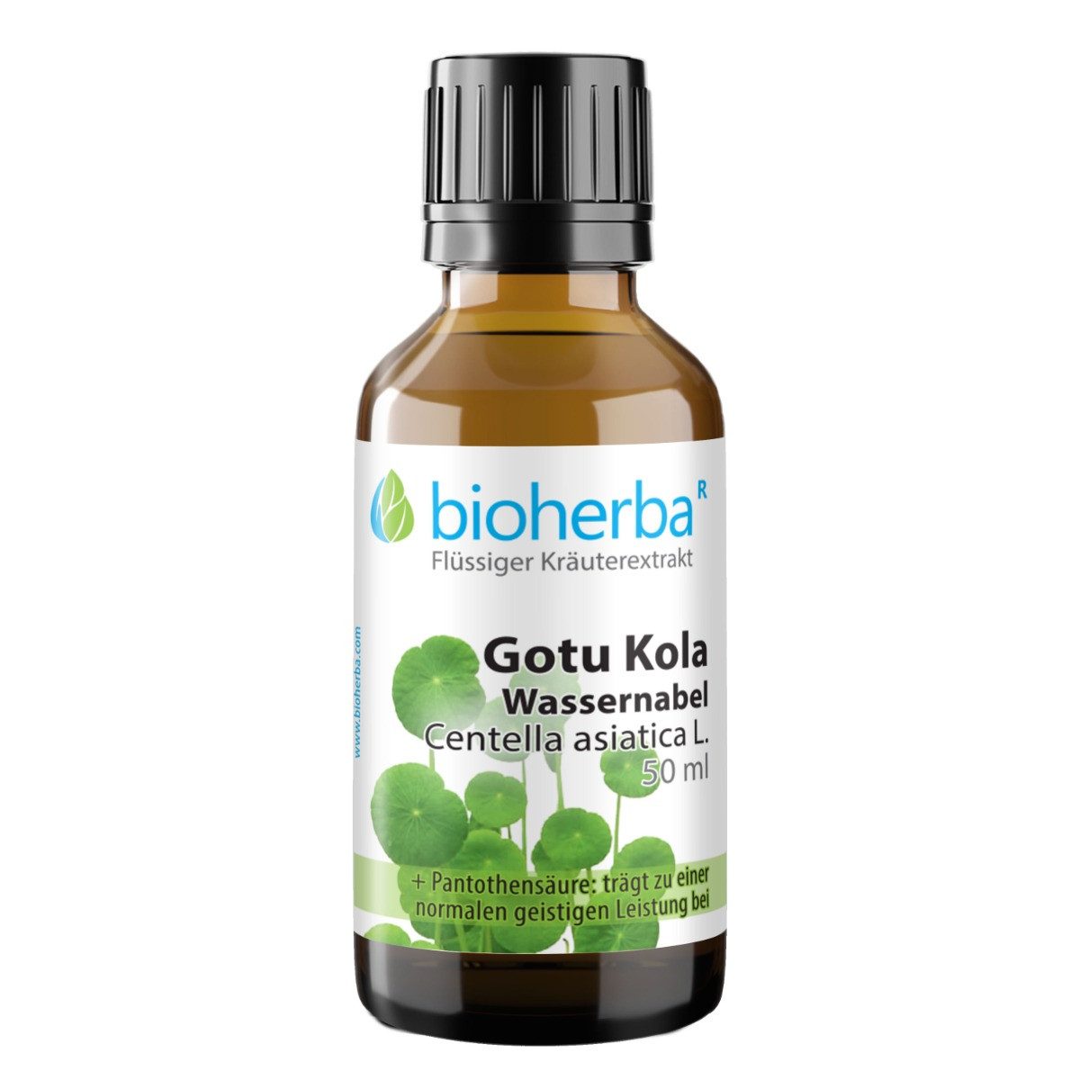 BIOHERBA R Gotu Kola Wassernabel Centella asiatica L. Tropfen Tinktur 50 ml Nahrungsergänzungsmittel