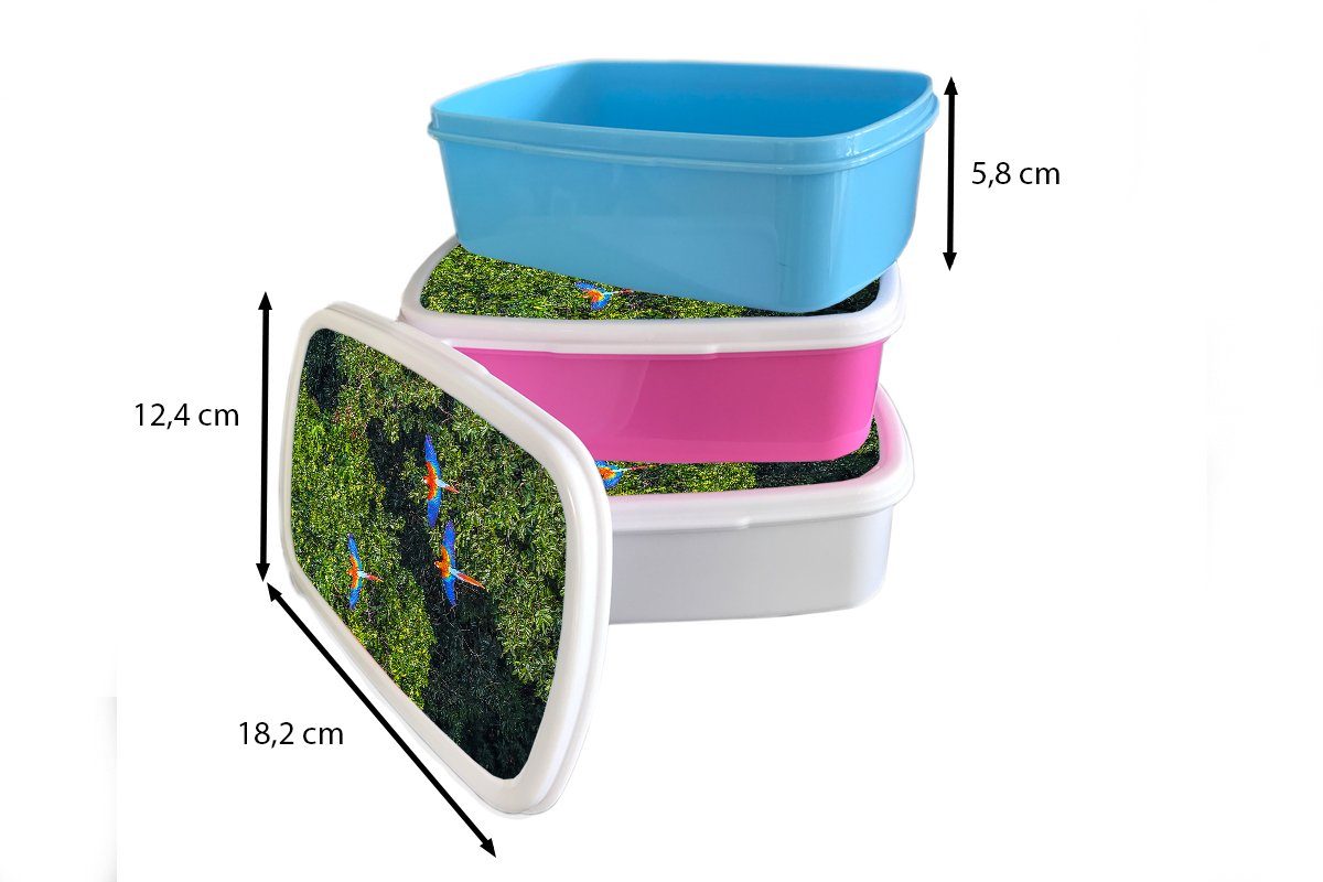 MuchoWow Lunchbox Dschungel - Erwachsene, Kunststoff, für Kinder, und Jungs Brotbox weiß und Mädchen Brotdose, Baum - Kinder - (2-tlg), - für Mädchen Papagei Jungen 
