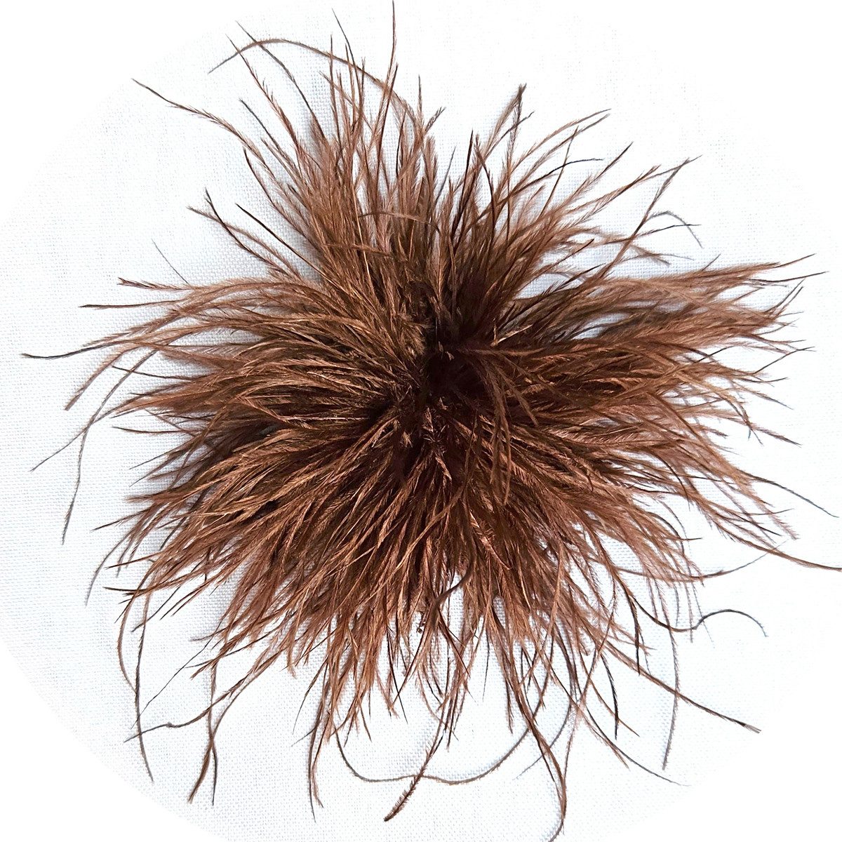 Brosche Federbrosche Braun Clip Antecker Federn Klammer Haarklammer Strauße günstig online kaufen