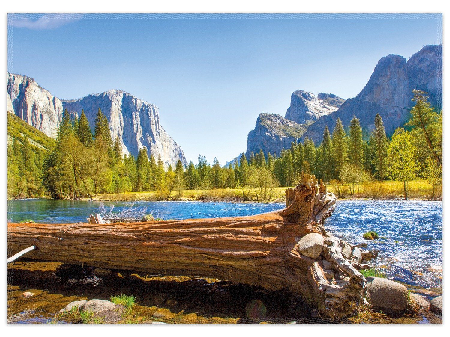 Wallario Teppich Baumstamm im Fluss zwischen Bergen und Wäldern, rechteckig, rutschfest