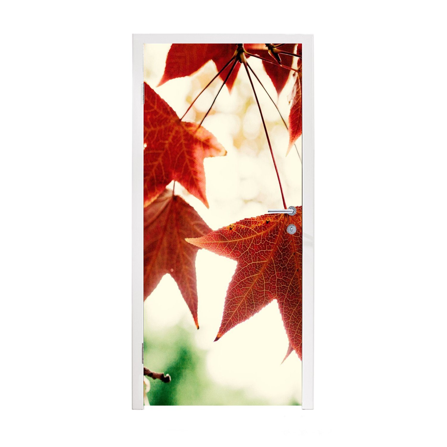 MuchoWow Türtapete Herbstblätter - November - Natur - Bäume, Matt, bedruckt, (1 St), Fototapete für Tür, Türaufkleber, 75x205 cm