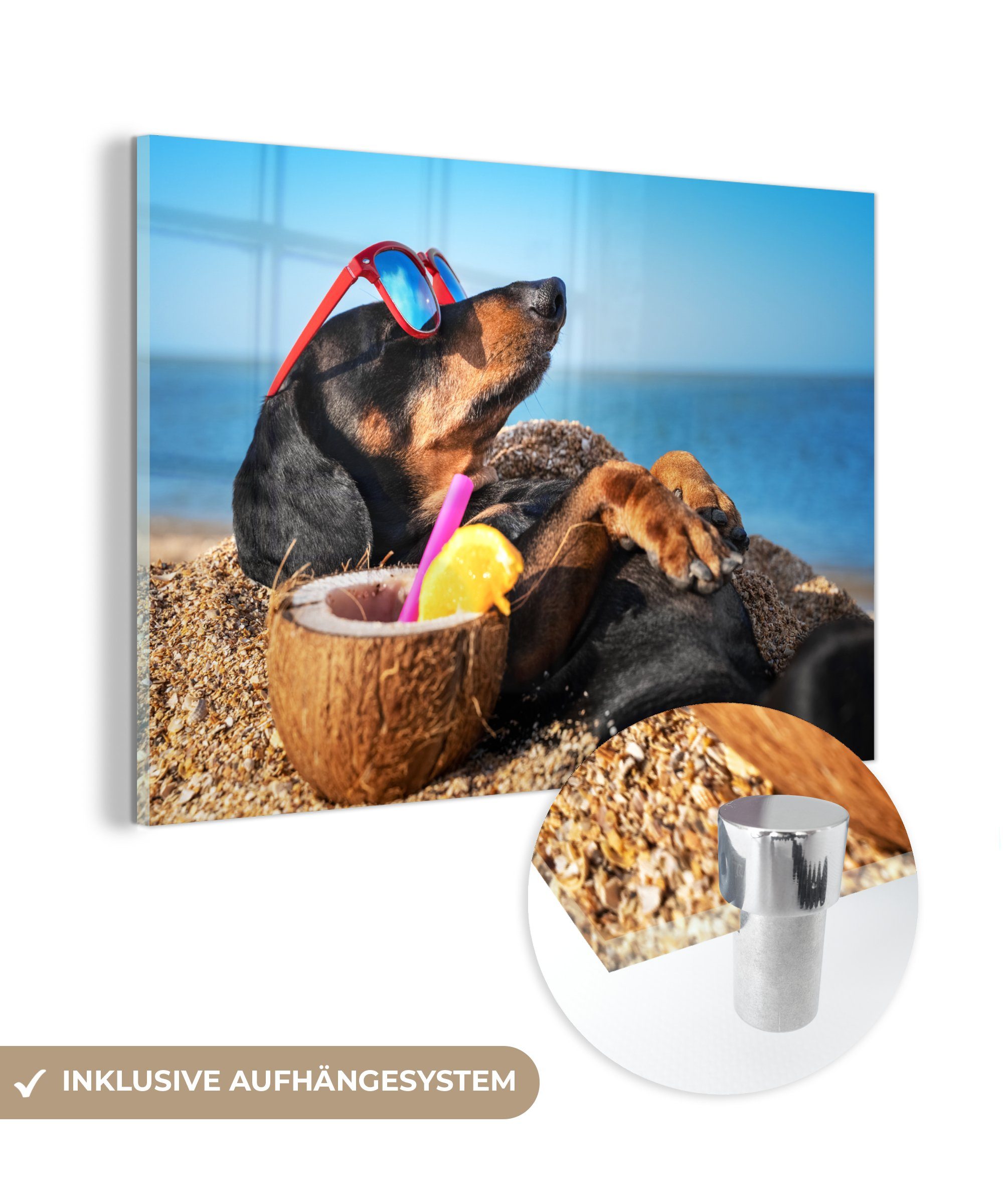 MuchoWow Acrylglasbild Hund - Sonnenbrille - Strand - Sommer, (1 St), Acrylglasbilder Wohnzimmer & Schlafzimmer