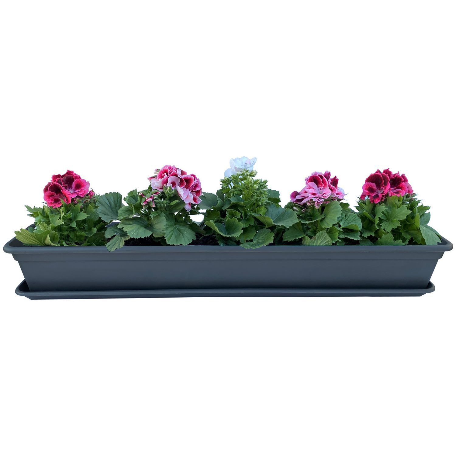 BURI Blumenkasten Blumenkasten Anthrazit 80 oder günstig online kaufen