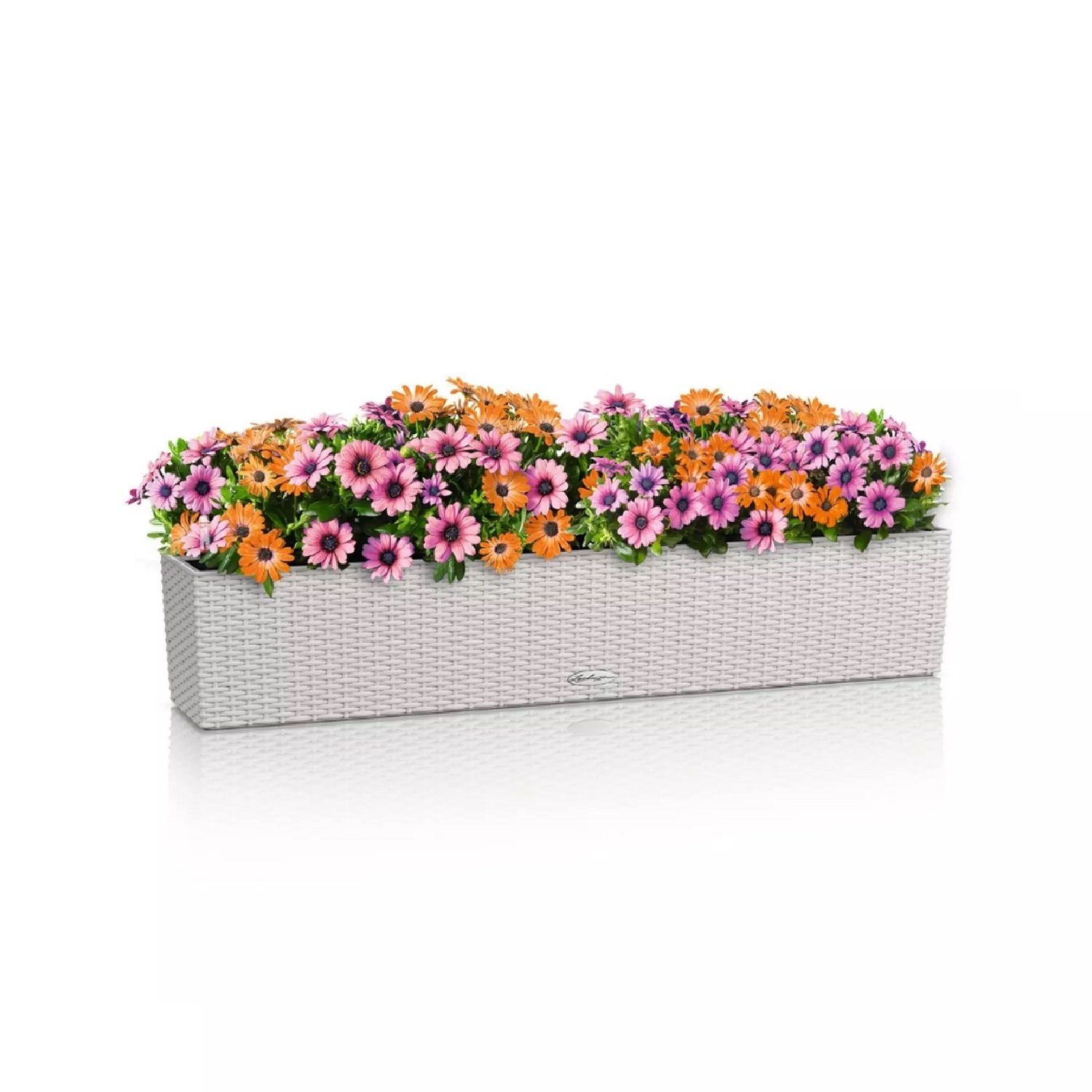 Lechuza® Balkonkasten Balconera Cottage 100 lichtgrau