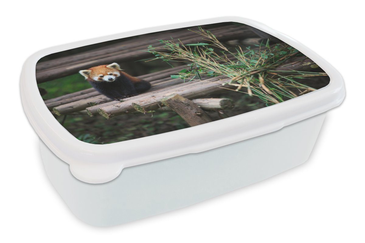 Baumstämme, und Kunststoff, Brotbox Erwachsene, für Jungs - für MuchoWow Mädchen Bambus und (2-tlg), Brotdose, Panda Roter Kinder - weiß Lunchbox