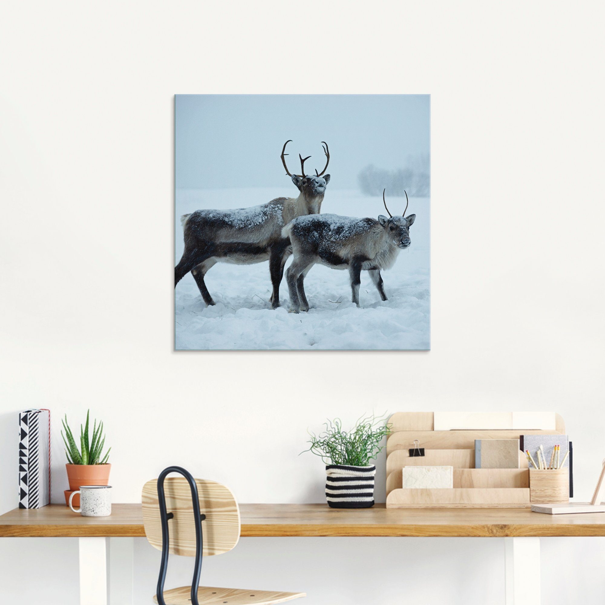 Artland Glasbild Rentier, Wildtiere (1 St), in verschiedenen Größen