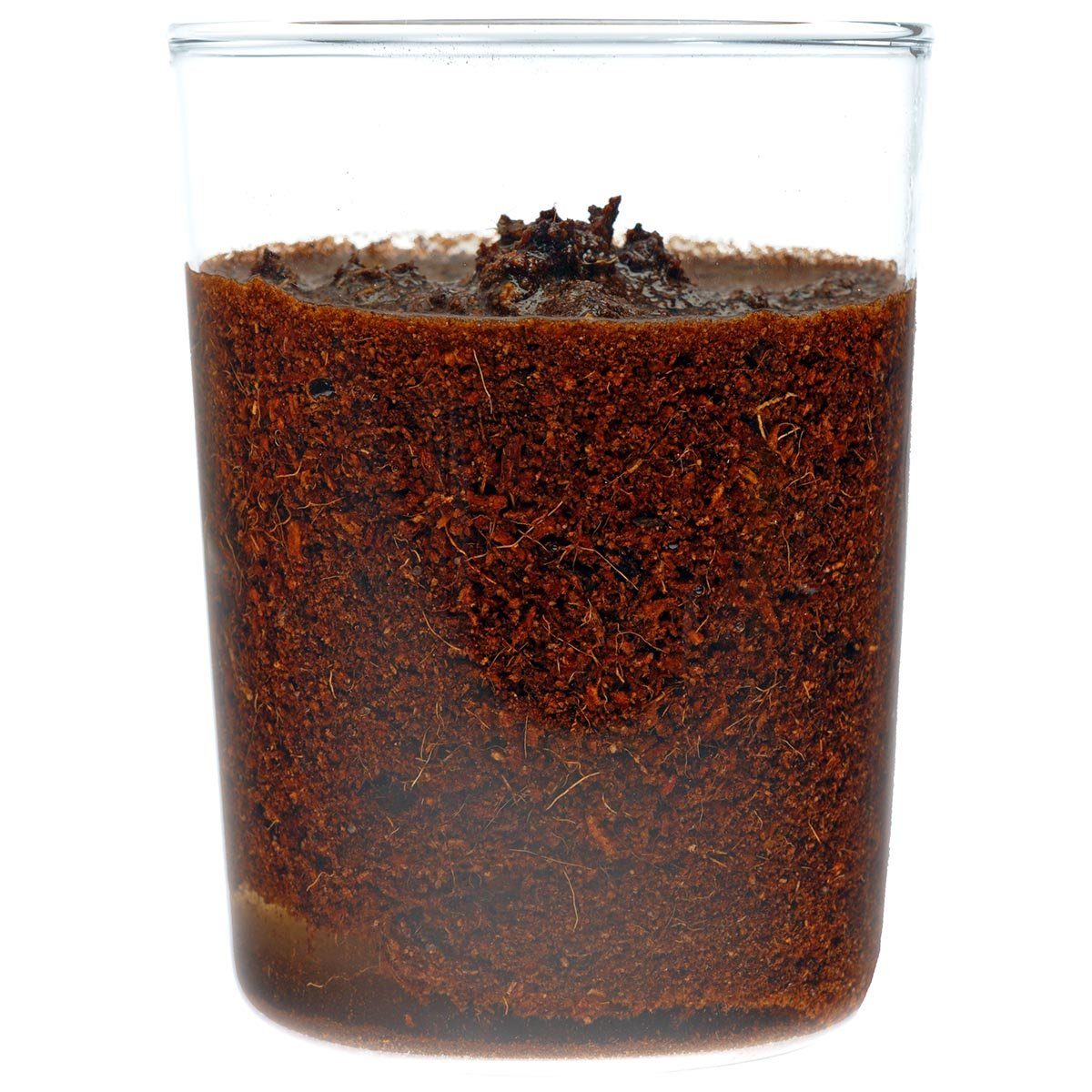 HaGa Bio-Erde Kokoserde Cannabis Aufzuchterde 58 Liter Cannabiserde Blumenerde, (1-St)