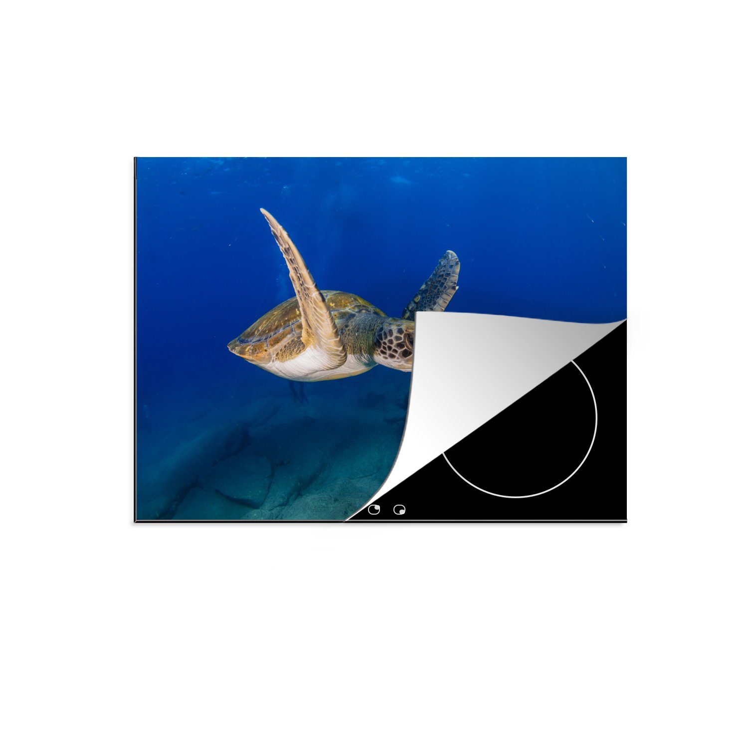 MuchoWow Herdblende-/Abdeckplatte Eine grüne Schildkröte schwimmt in blauem Wasser, Vinyl, (1 tlg), 71x52 cm, Induktionskochfeld Schutz für die küche, Ceranfeldabdeckung