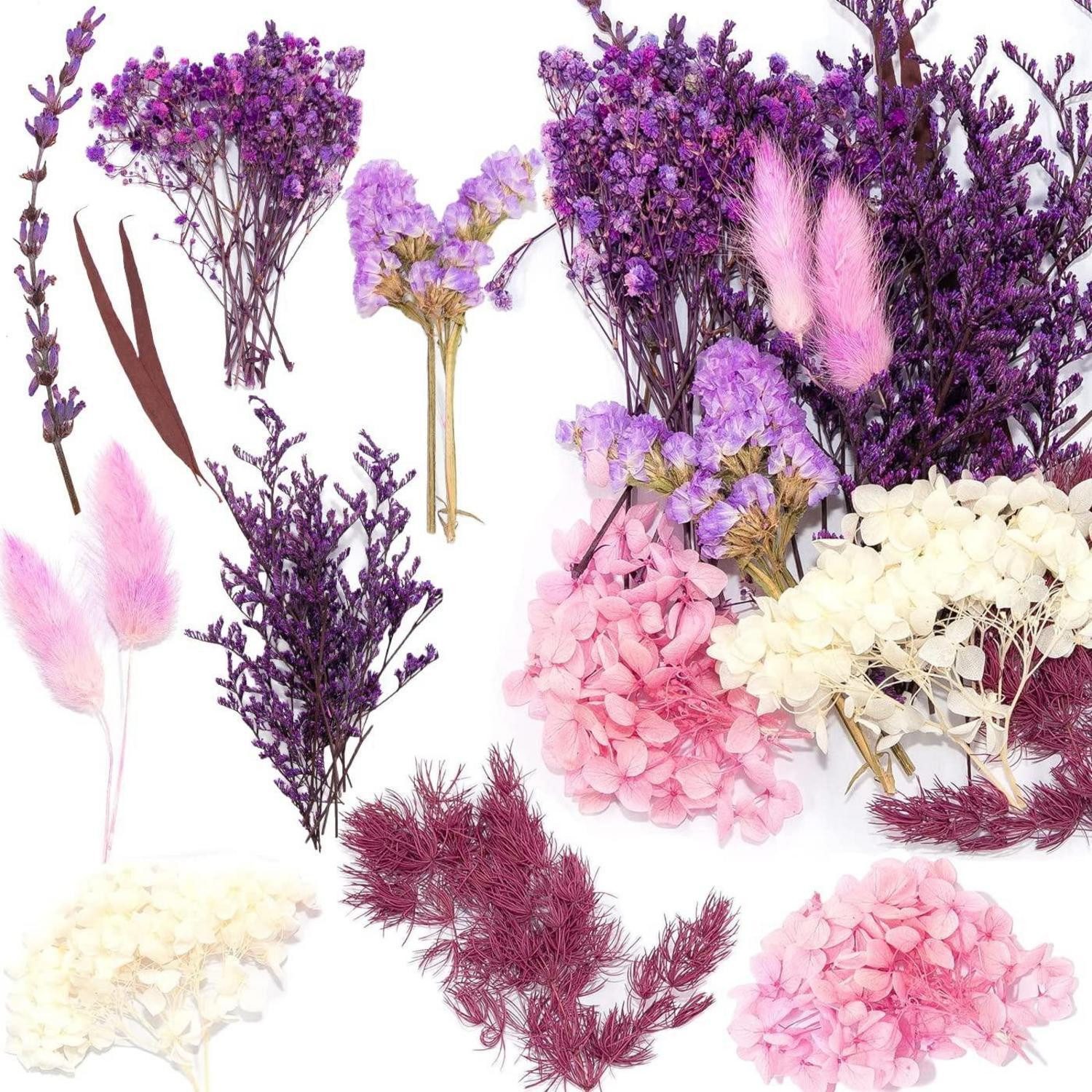 Trockenblume Natürliche Trockenblumen Set Multicolored, LuxusKollektion, Höhe 1 cm