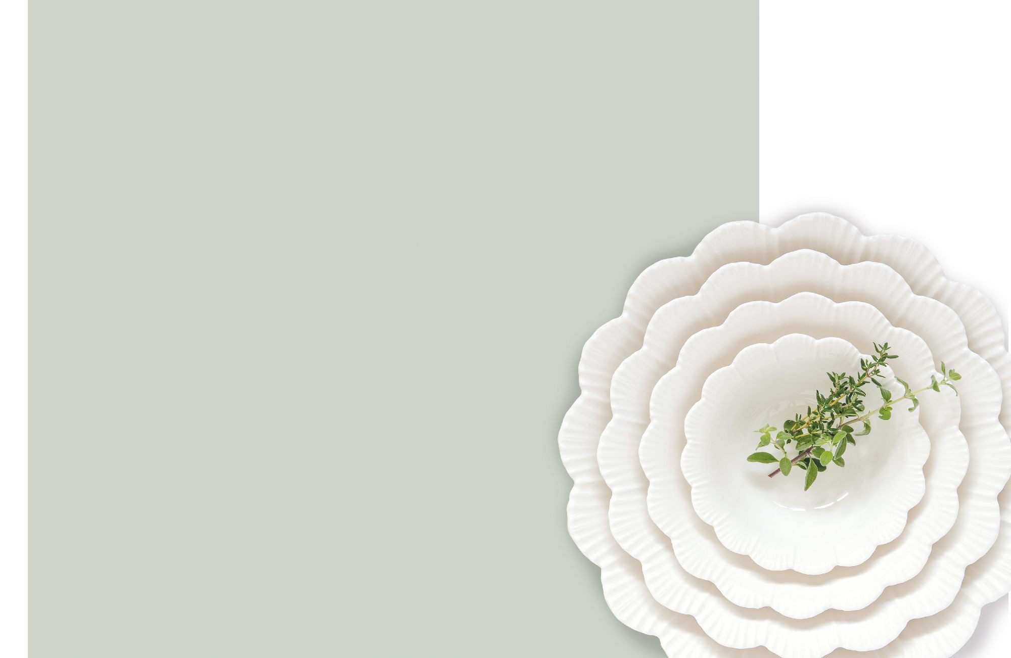 EasyLife Frühstücksteller Fleuri Bianco, Spülmaschinengeeignet, Weiß, Blüte, H: cm – Bild 2 von 3