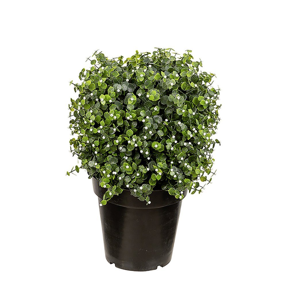 Kunstpflanze FINK Kunstblume Münzblatt - grün - H. 50cm x B. 32cm