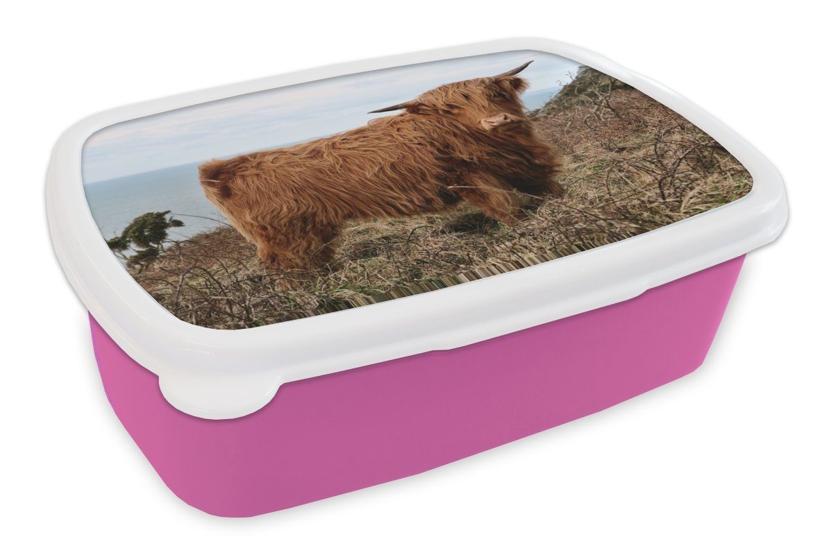 Kuh Kinder, Lunchbox - Erwachsene, Schottischer rosa Kunststoff, für Brotdose Kunststoff - (2-tlg), Brotbox Pflanzen Mädchen, MuchoWow Highlander, Snackbox,