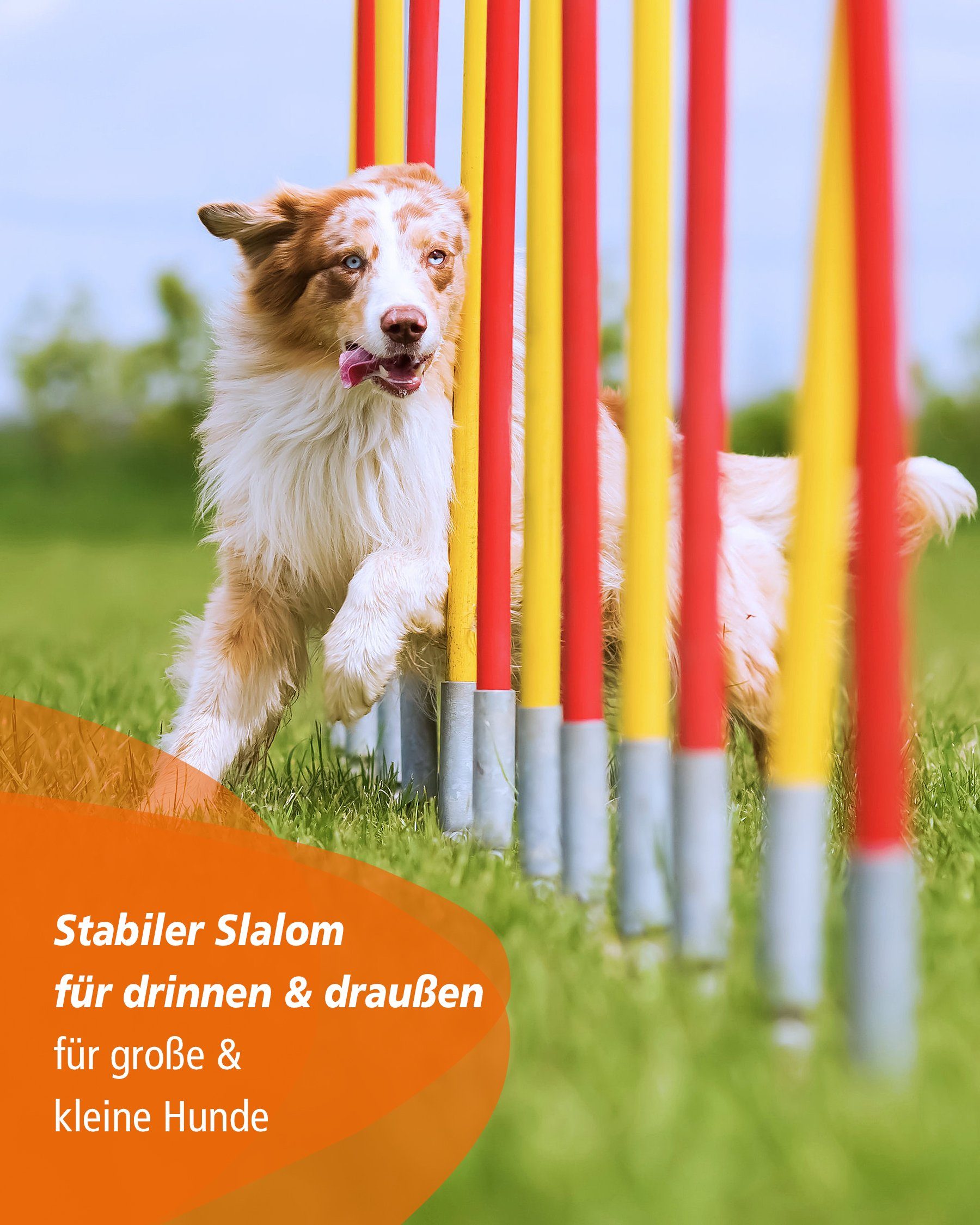 Superhund Agility-Slalom Turnier Slalom mit 12 Stange für Agilitytraining, Gelb/Blau