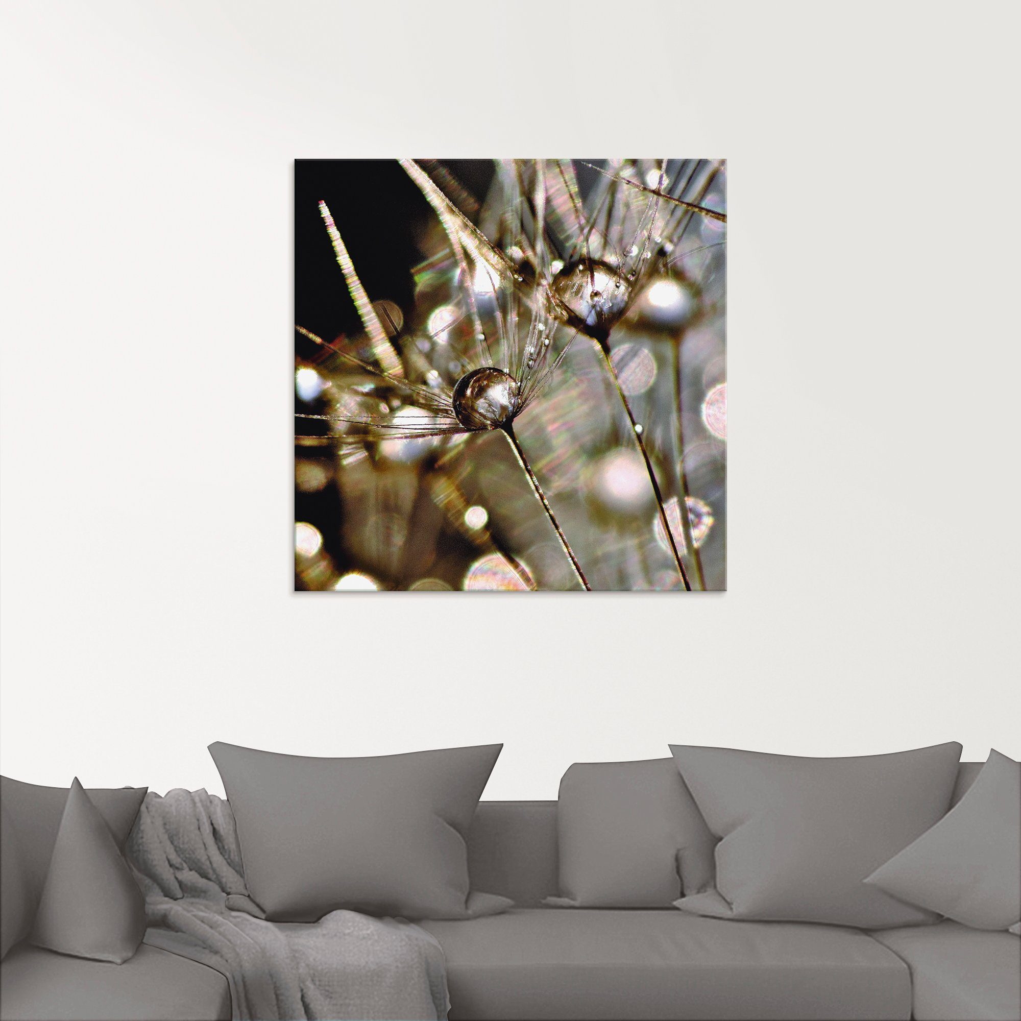 Artland Glasbild Pusteblume mit Wasserperlen, Blumen (1 St), in verschiedenen Größen