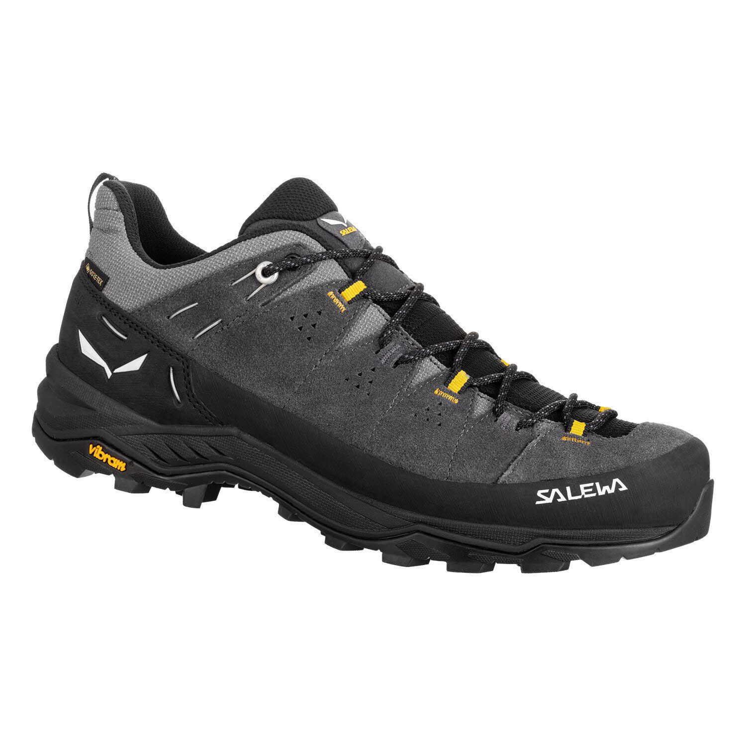 ALP TRAINER 2 GTX Outdoorschuh