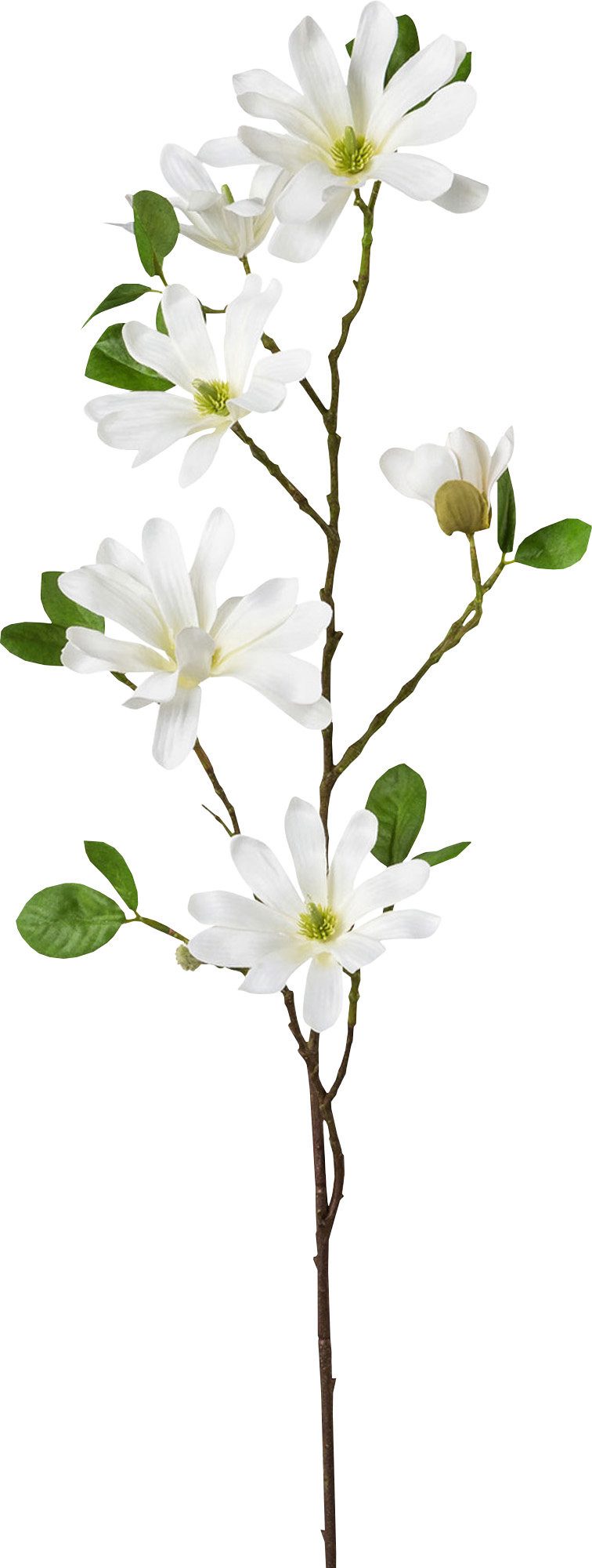 Kunstpflanze Kunstpflanze Sternmagnolie