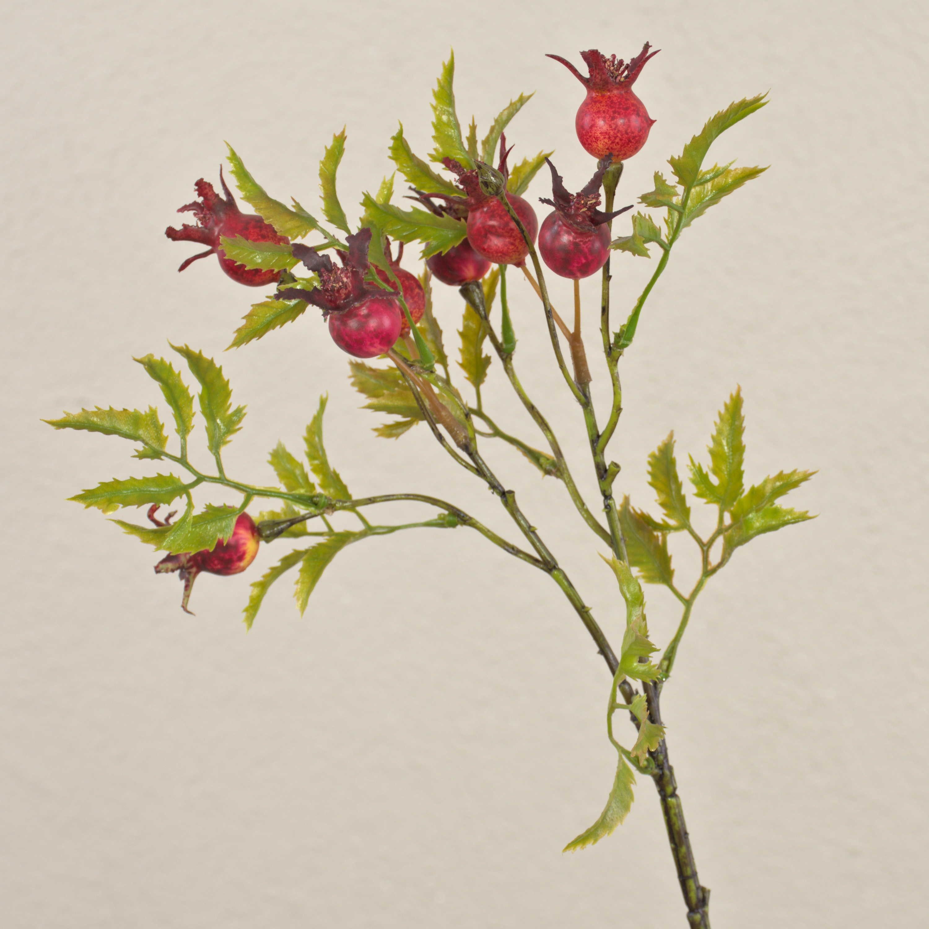 Kunstzweig Kunst Heckenrosen Zweig VIVEKA mit Hagebutten, rot, 50cm Hagebutte (Heckenrose), artplants, Höhe 45.0 cm