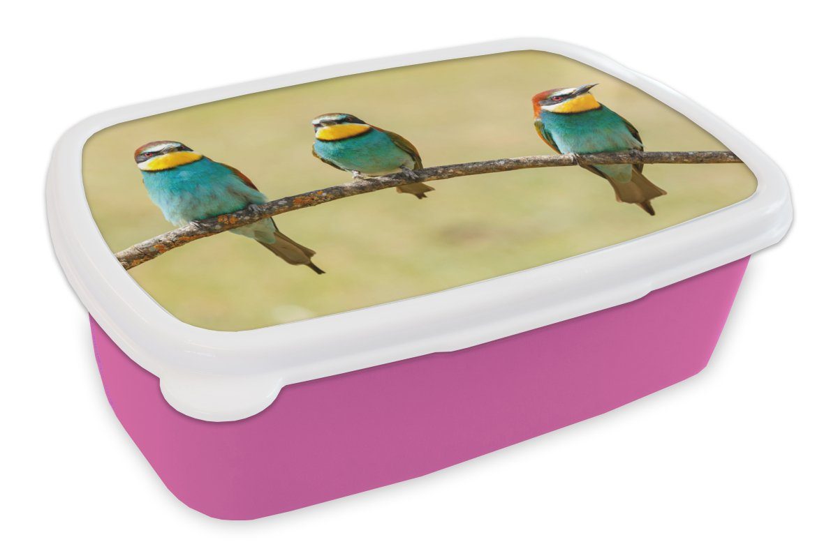 MuchoWow Lunchbox Vögel - Kinder, - Brotdose Snackbox, rosa Bienenfresser, für Erwachsene, Tiere Kunststoff Brotbox Kunststoff, (2-tlg), Mädchen