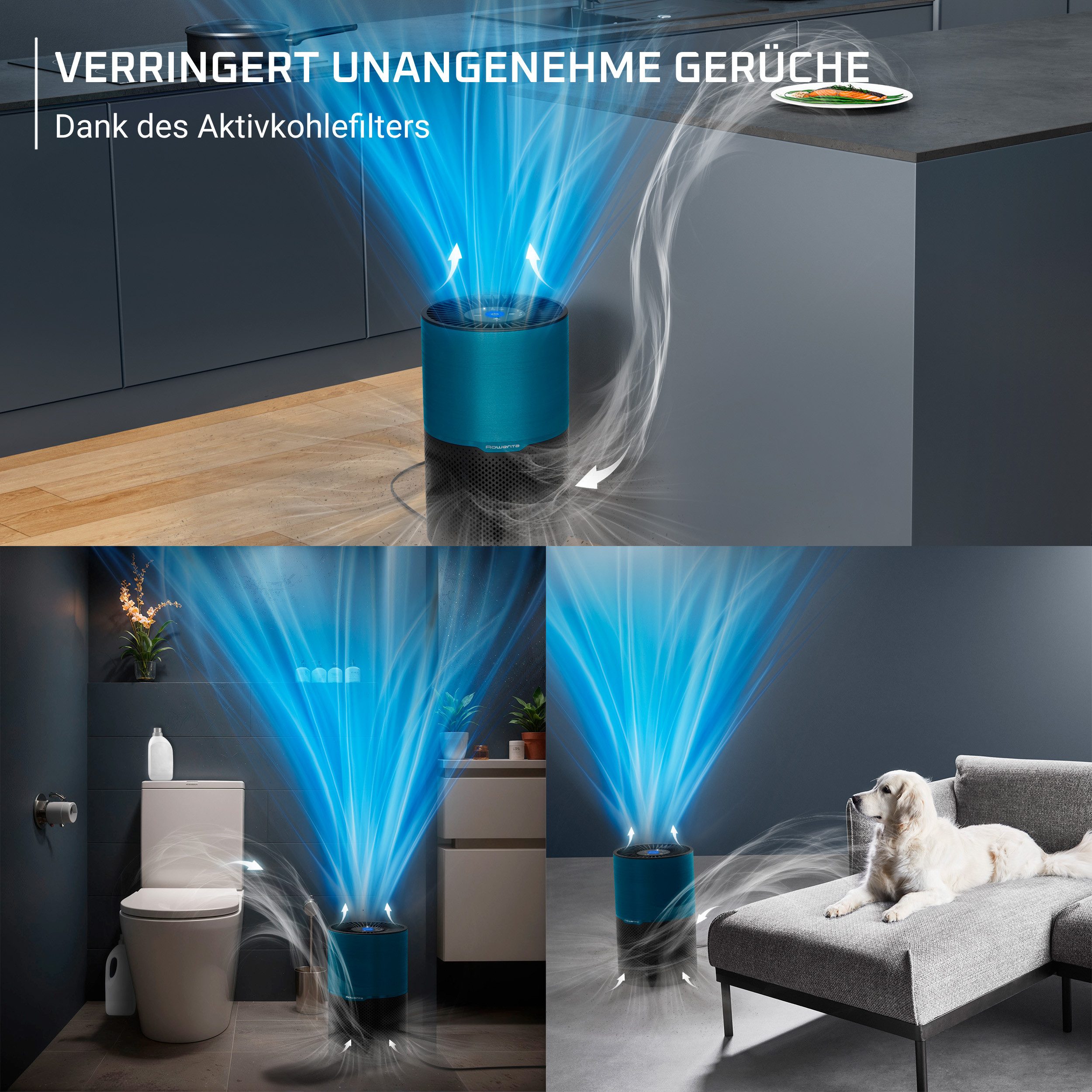 Rowenta Luftreiniger Pure Air Compact, Echtzeit-Luftqualitätsanzeige, für 52 m² Räume, 3-in-1 Filterung, Energieeffizienter Luftreiniger mit Digitalmotor