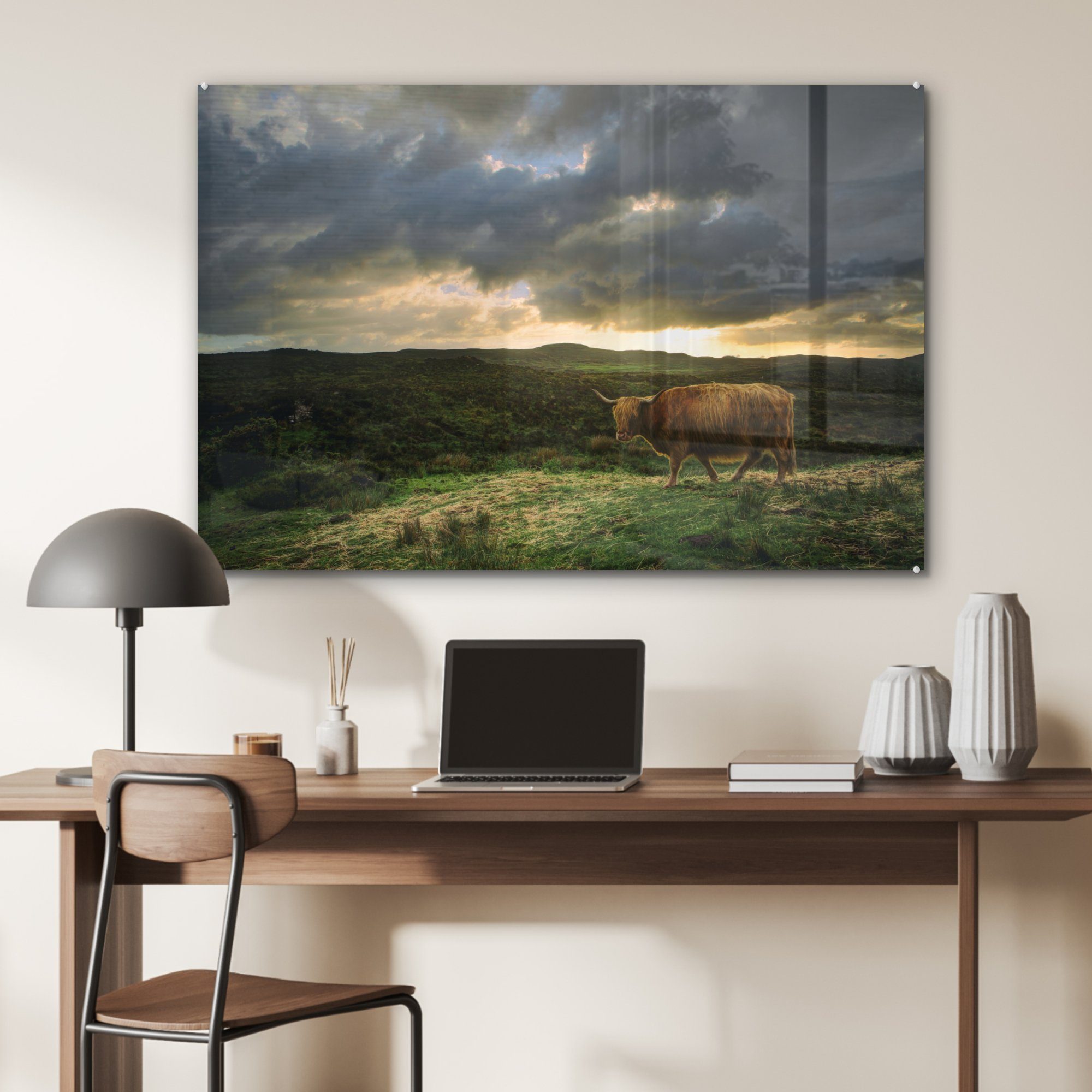 Schottischer Kuh, (1 Landschaft St), MuchoWow Acrylglasbild Acrylglasbilder Schlafzimmer - & - Wohnzimmer Hochländer