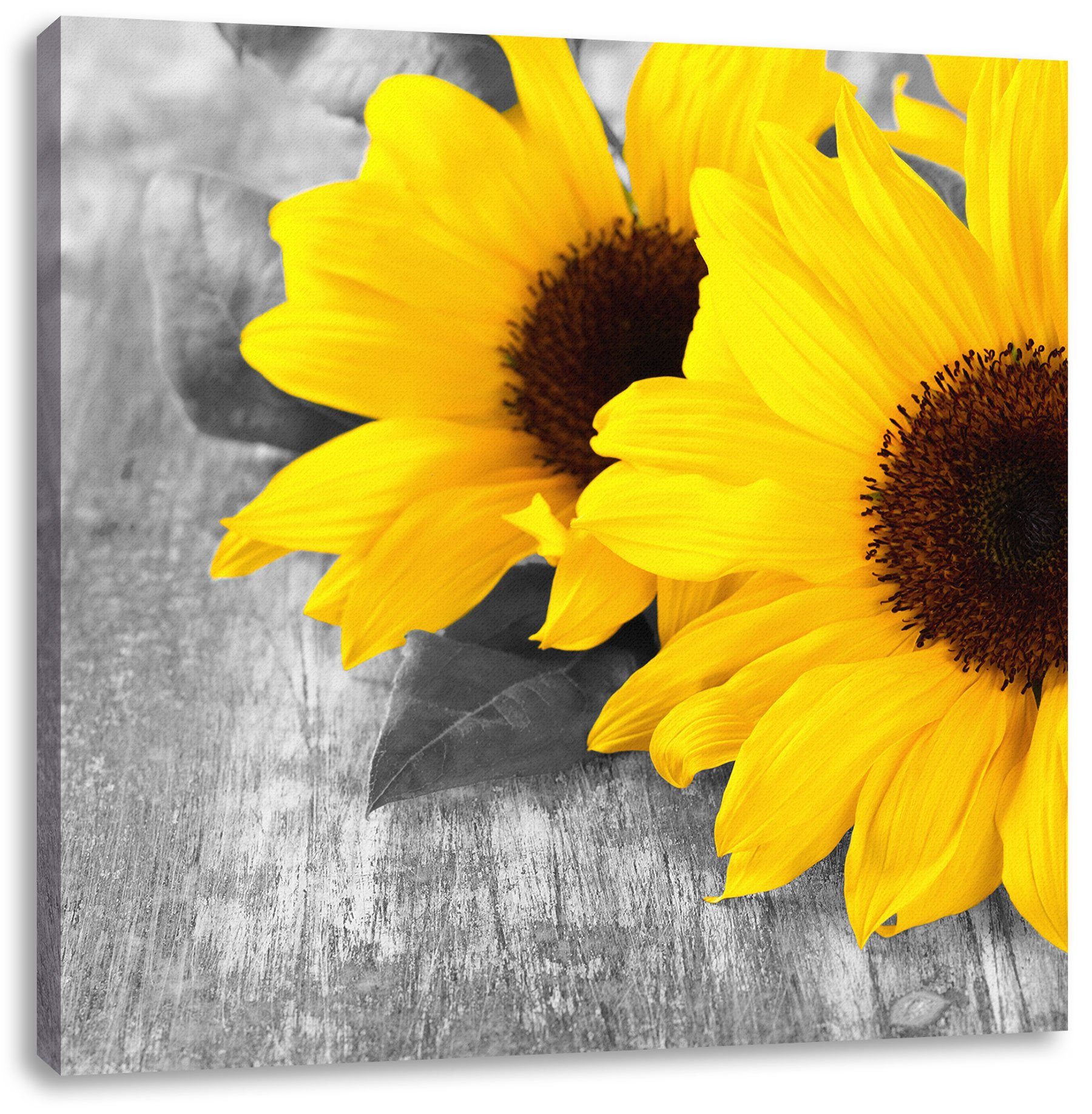 Pixxprint auf inkl. Zackenaufhänger schöne Sonnenblumen St), (1 Leinwandbild Sonnenblumen Leinwandbild fertig schöne Holztisch, Holztisch bespannt, auf