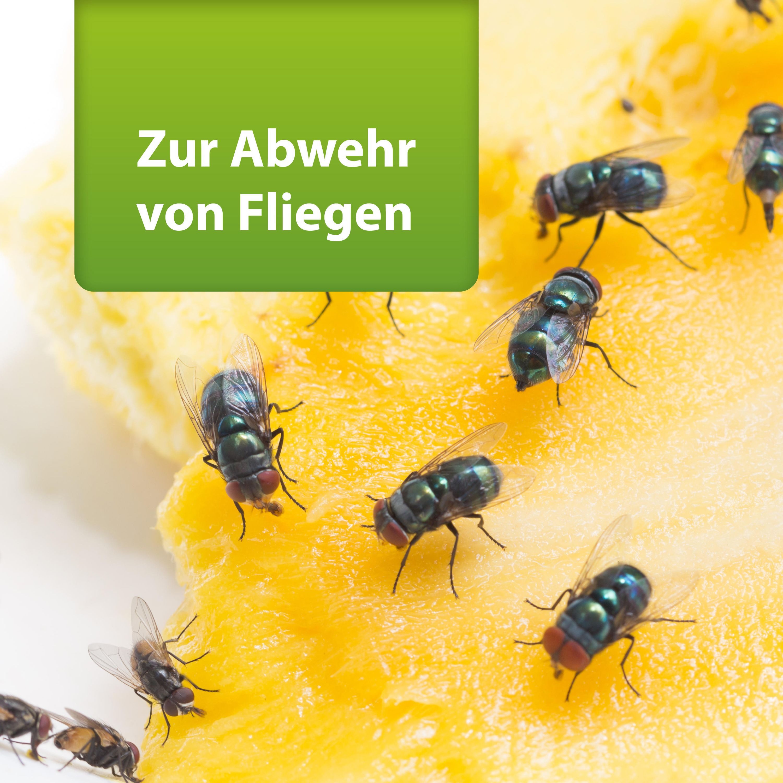Ardap Insektenspray ARDAP Repell Fliegenspray 400 ml