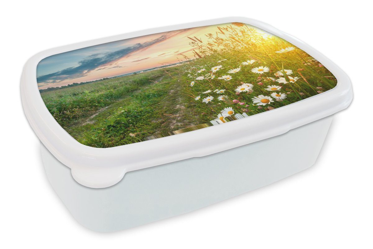 MuchoWow Lunchbox Blumen - Gänseblümchen (2-tlg), Brotbox Erwachsene, für - Sonne und - Brotdose, und Kinder - für weiß Natur Horizont, Jungs Mädchen Kunststoff
