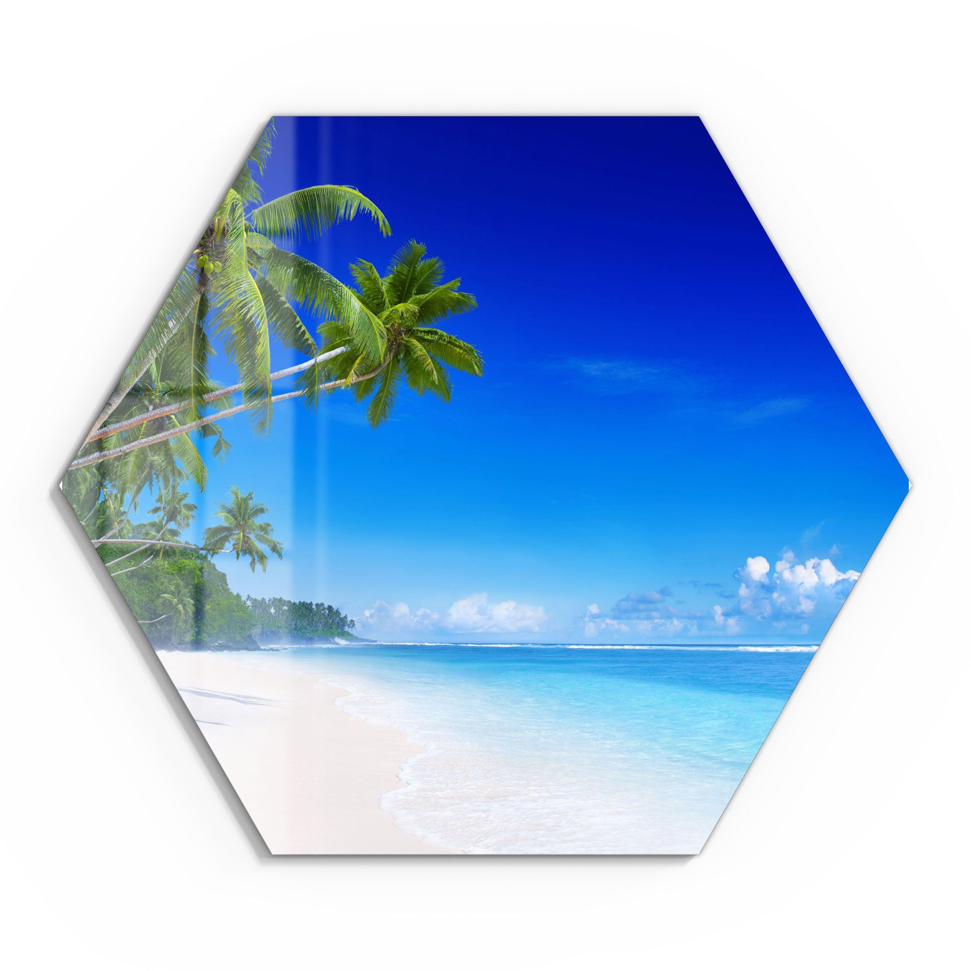 DEQORI Glasbild 'Palmen am Sandstrand', 'Palmen günstig online kaufen