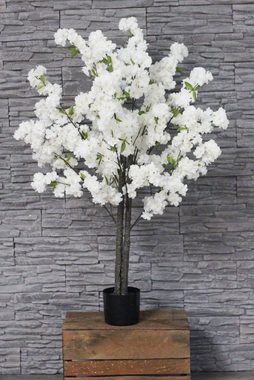 Kunstpflanze Künstlicher Kirschbaum weißer Kirschblütenbaum, Arnusa, Höhe 120 cm, Fertig im Topf