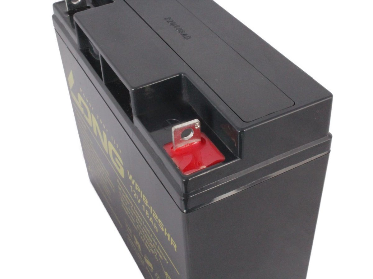 NP15-12 wartungsfrei ersetzt 12V AGM Batterie Long Bleiakkus 18Ah Kung