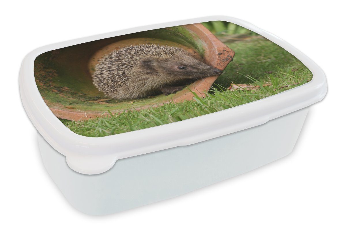 MuchoWow Lunchbox Igel im Einmachglas, Kunststoff, (2-tlg), Brotbox für Kinder und Erwachsene, Brotdose, für Jungs und Mädchen weiß