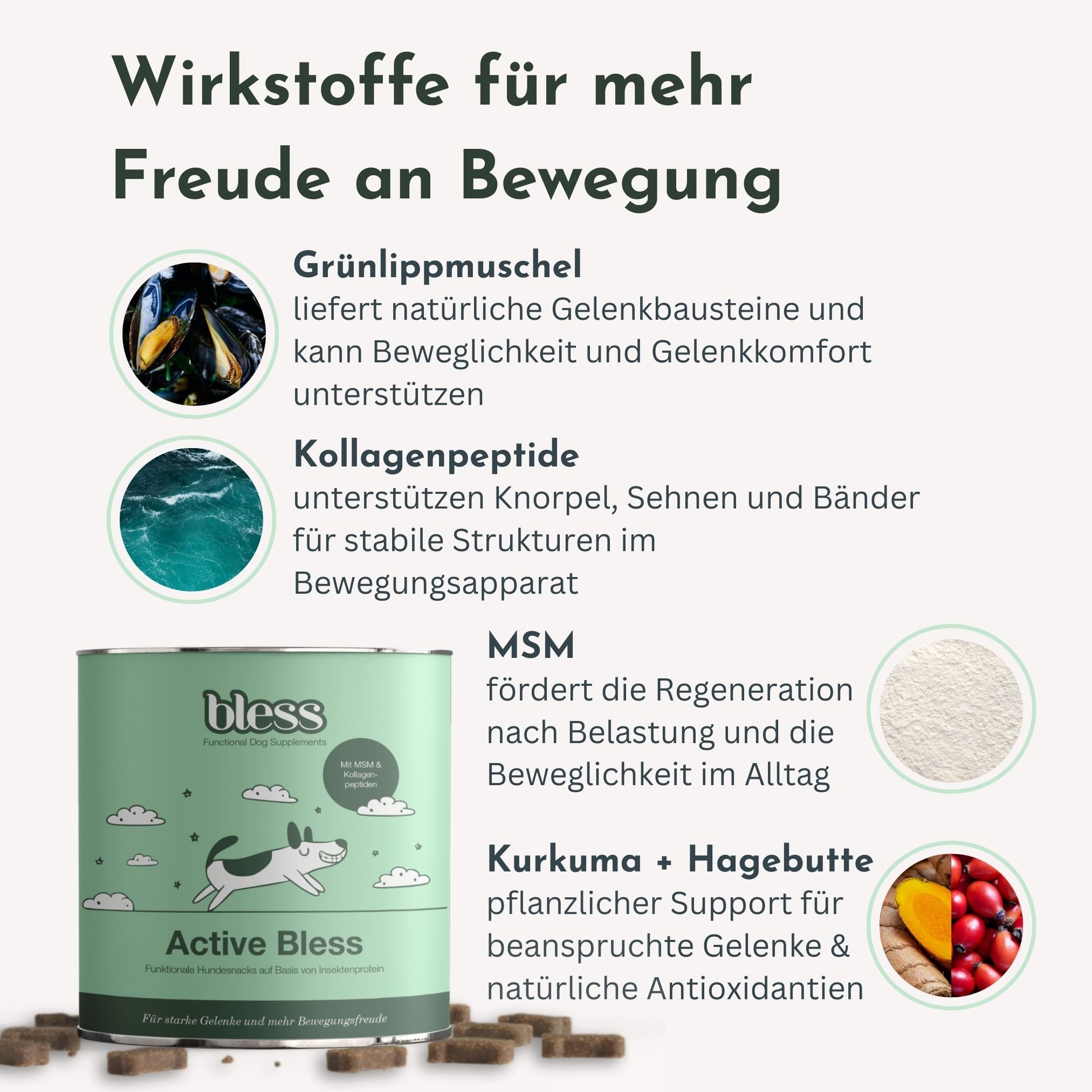 Bless Gelenk-Snack für Hunde (Active Bless) – mit Kollagenpeptiden & MSM, Nahrungsergänzungsmittel für: Hunde, mit Insektenprotein (allergikerfreundlich)