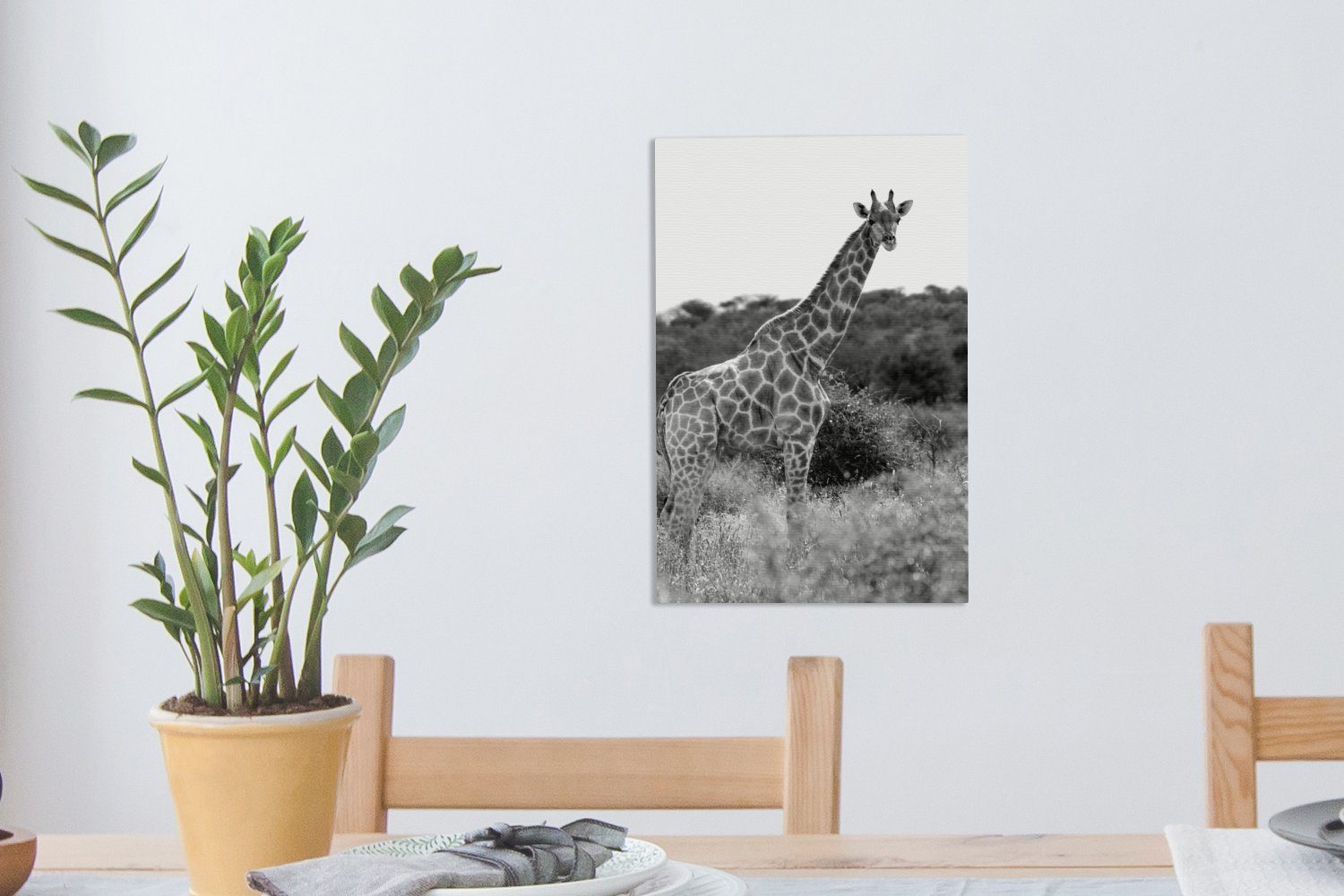 OneMillionCanvasses® Leinwandbild Giraffe in Natur - bespannt cm weiß, (1 20x30 schwarz fertig der Zackenaufhänger, St), inkl. und Leinwandbild Gemälde
