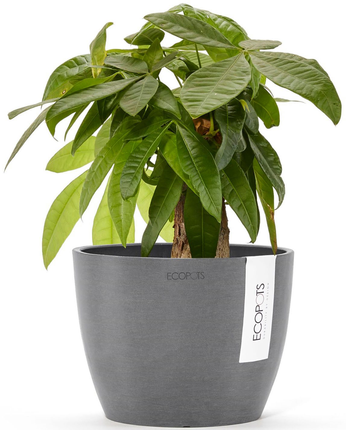 ECOPOTS Blumentopf STOCKHOLM Grey, BxTxH: 16x16x12,5 cm günstig online kaufen