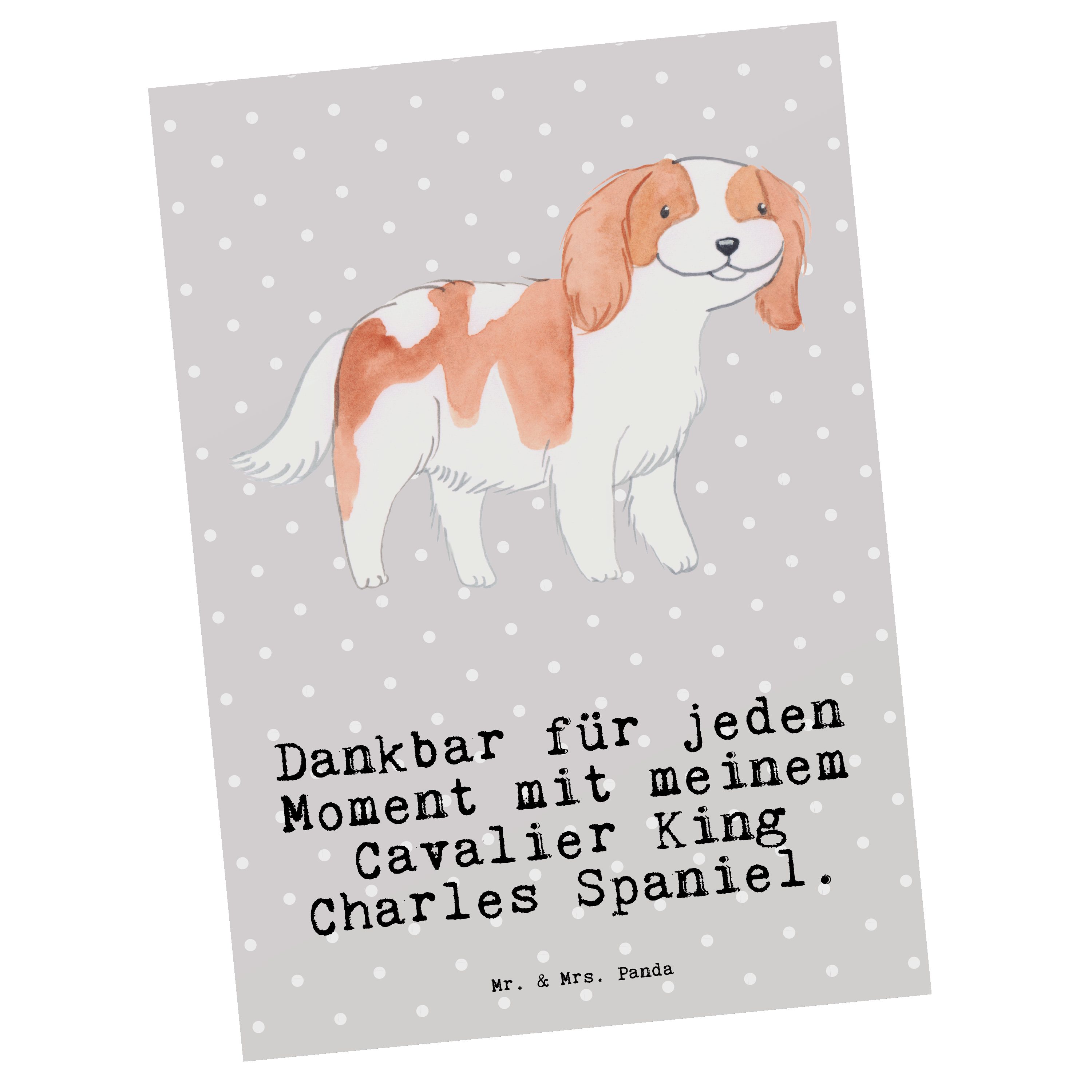 Mr. & Panda Postkarte Mrs. Spaniel Moment King Pastell Geschenk, Charles Schen - Grau - Cavalier