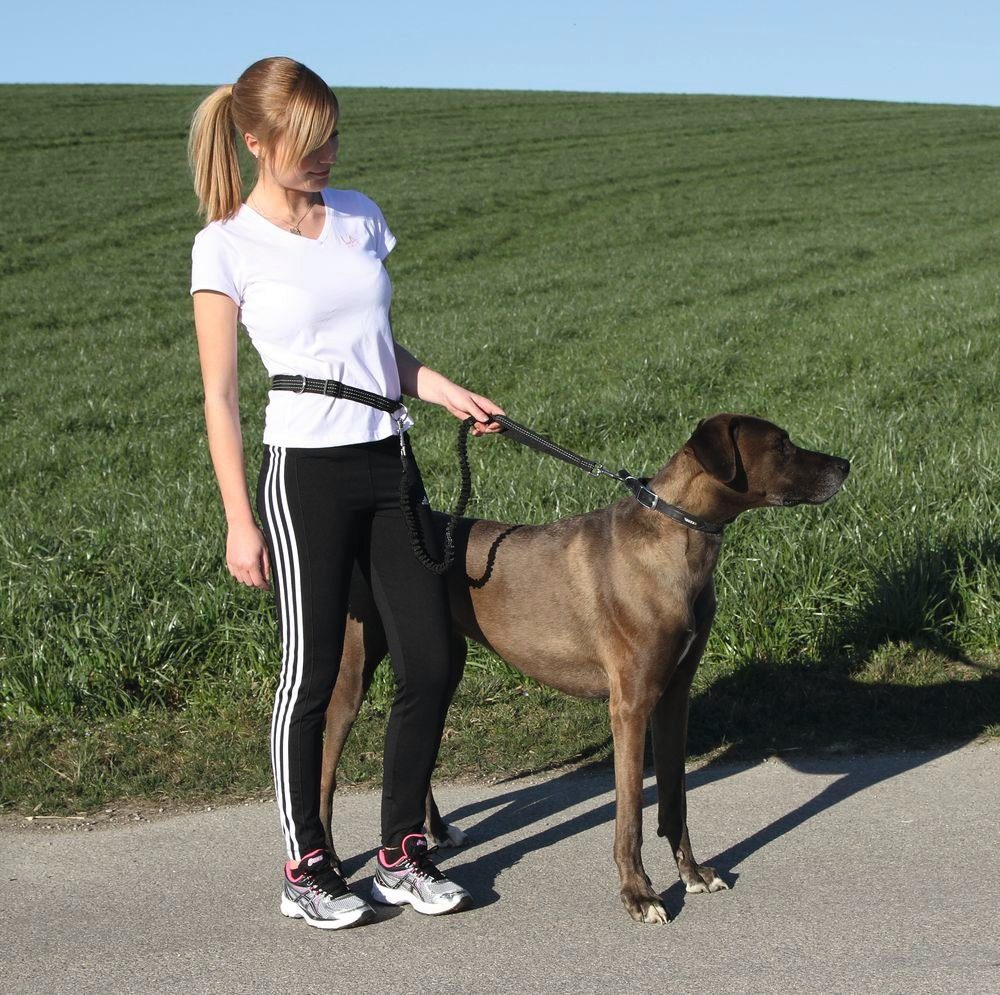Kerbl Leine Kerbl Joggingleine Active mit Hüftgurt Hunde Leine 81181