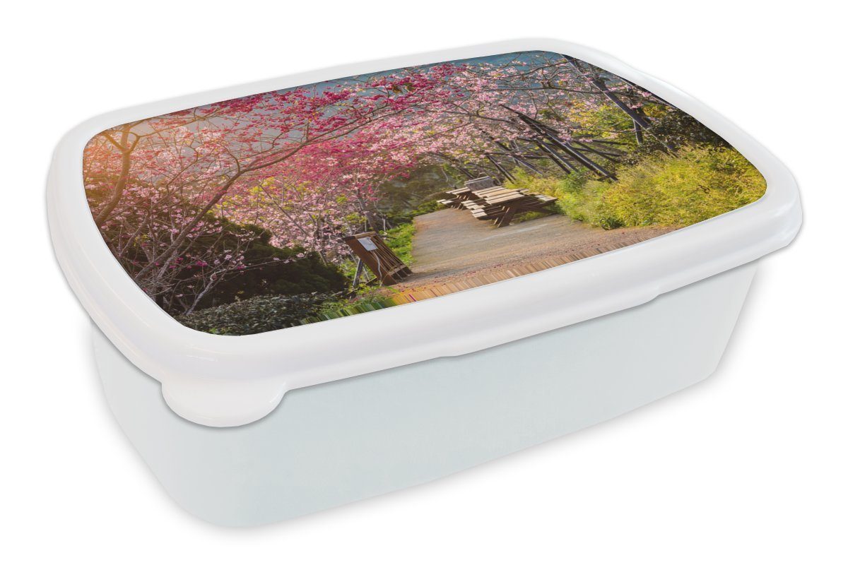 Kunststoff, des Erwachsene, und Lunchbox für (2-tlg), rosafarbenen Kinder Brotbox am Baumes Sakura-Blätter Mädchen und Brotdose, Die Jungs MuchoWow für weiß Straßenrand,