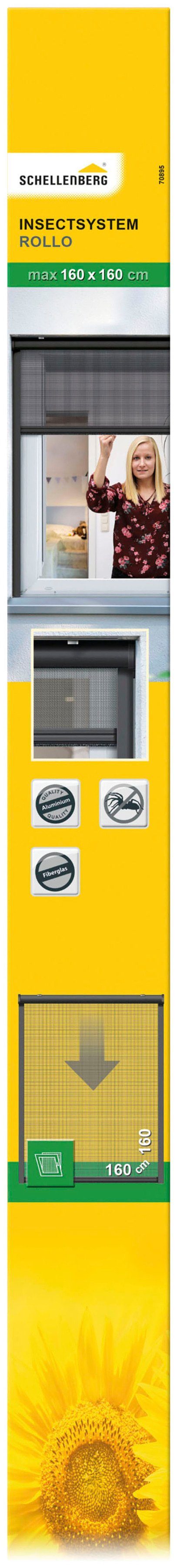 Insektenschutzrollo für Fenster, x SCHELLENBERG, cm, Fliegengitter, 70895 160 160 verschraubt, anthrazit