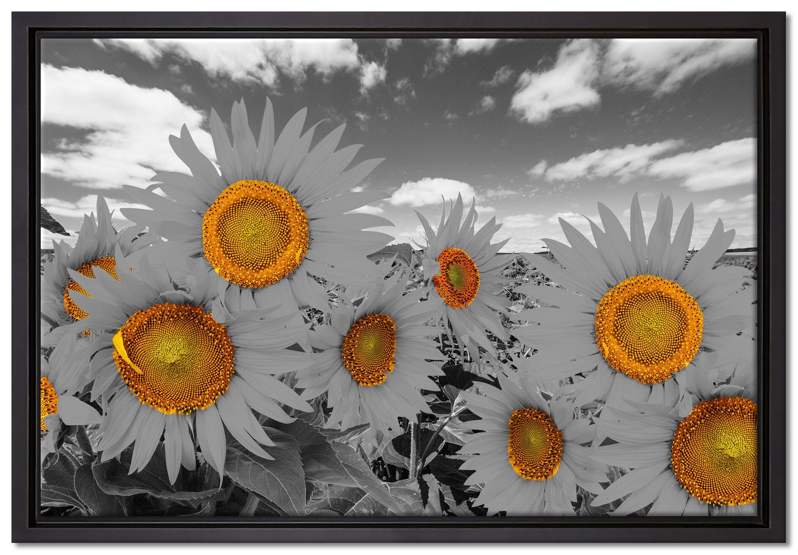 Pixxprint Leinwandbild Tolles Sonnenblumenfeld, Wanddekoration (1 St), Leinwandbild fertig bespannt, in einem Schattenfugen-Bilderrahmen gefasst, inkl. Zackenaufhänger