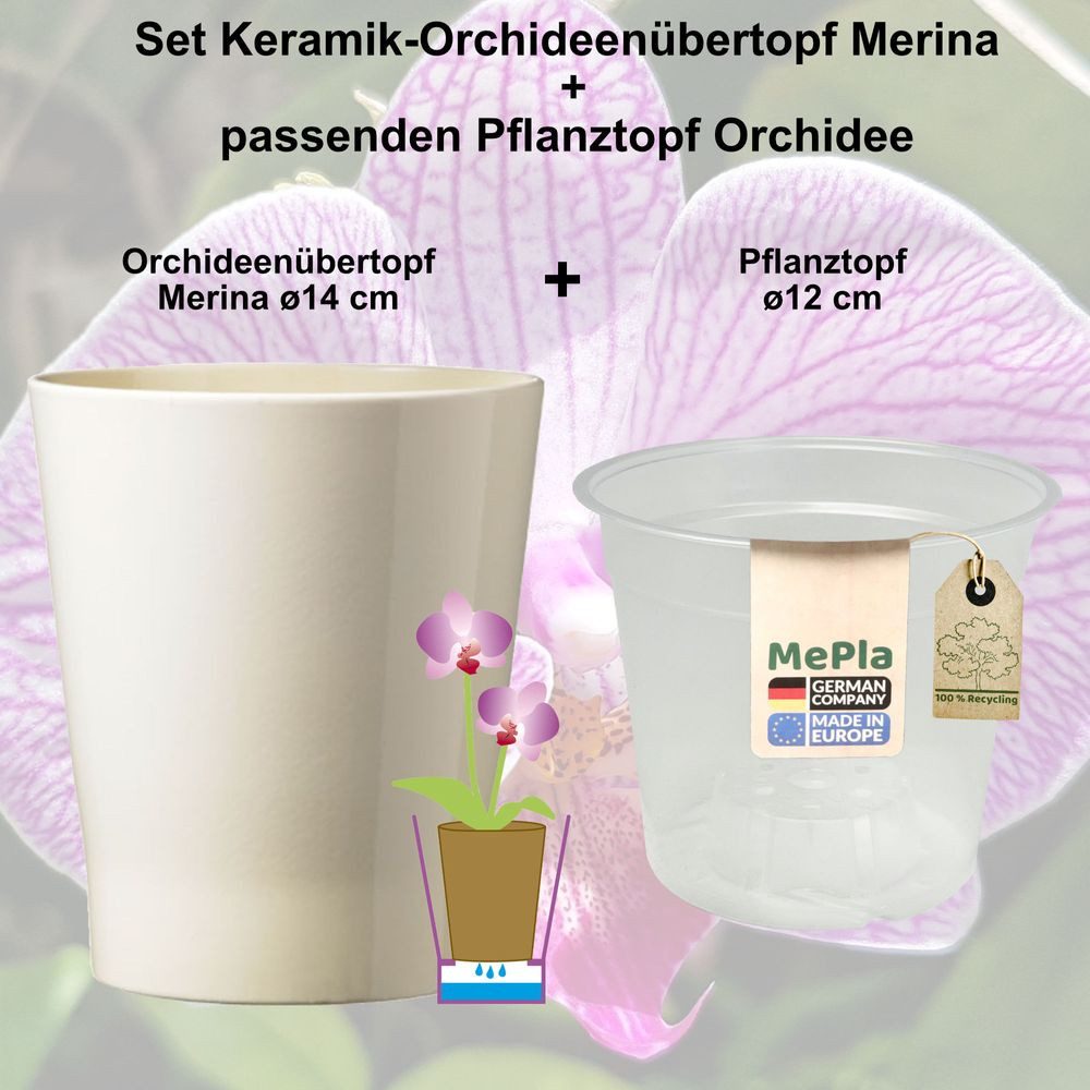 Heimwerkercenter Übertopf MePla - 2 Stück günstig online kaufen