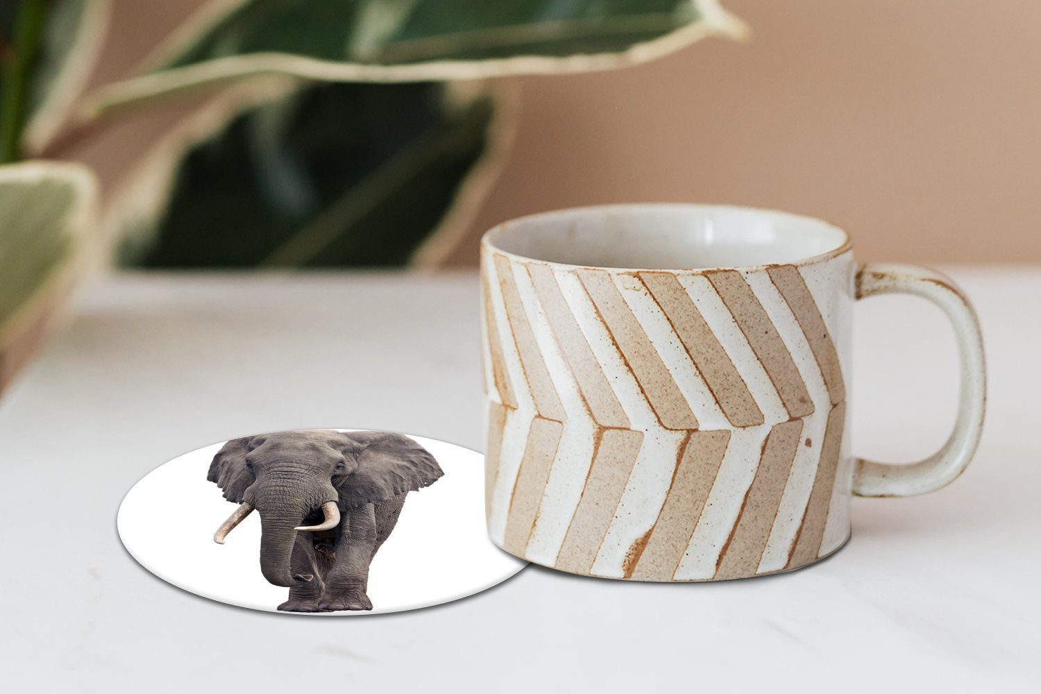 Tasse, für Elefant Weiß, Getränkeuntersetzer, Becher - Korkuntersetzer, Gläser, 6-tlg., Afrika Tassenuntersetzer, - Zubehör MuchoWow Glasuntersetzer