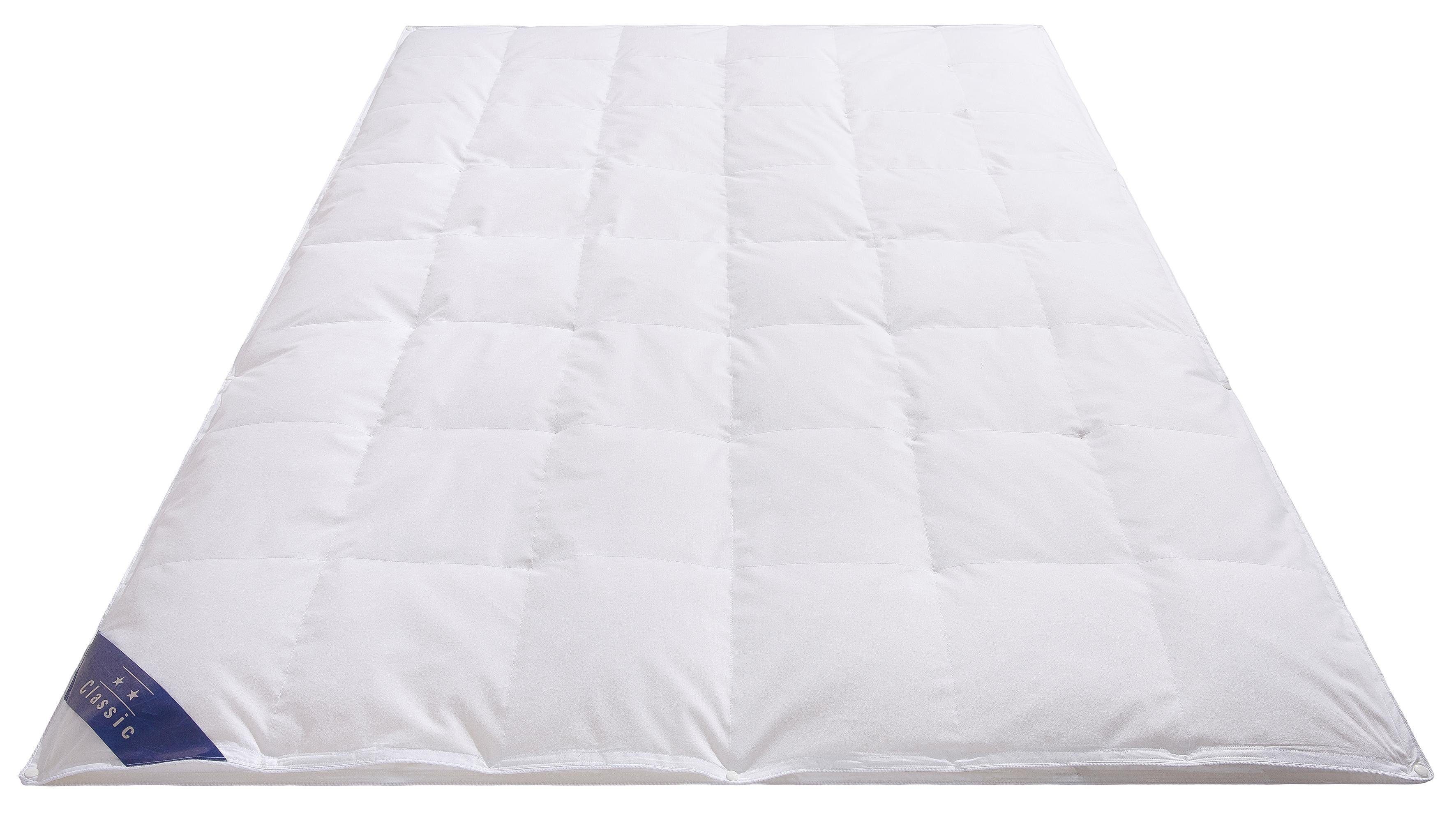 Hanse by RIBECO Federbettdecke Jonas, Füllung: 30% Daunen, 70% Federn, Bezug: 100% Baumwolle, Bettdecke für alle Jahreszeiten, Made in Germany