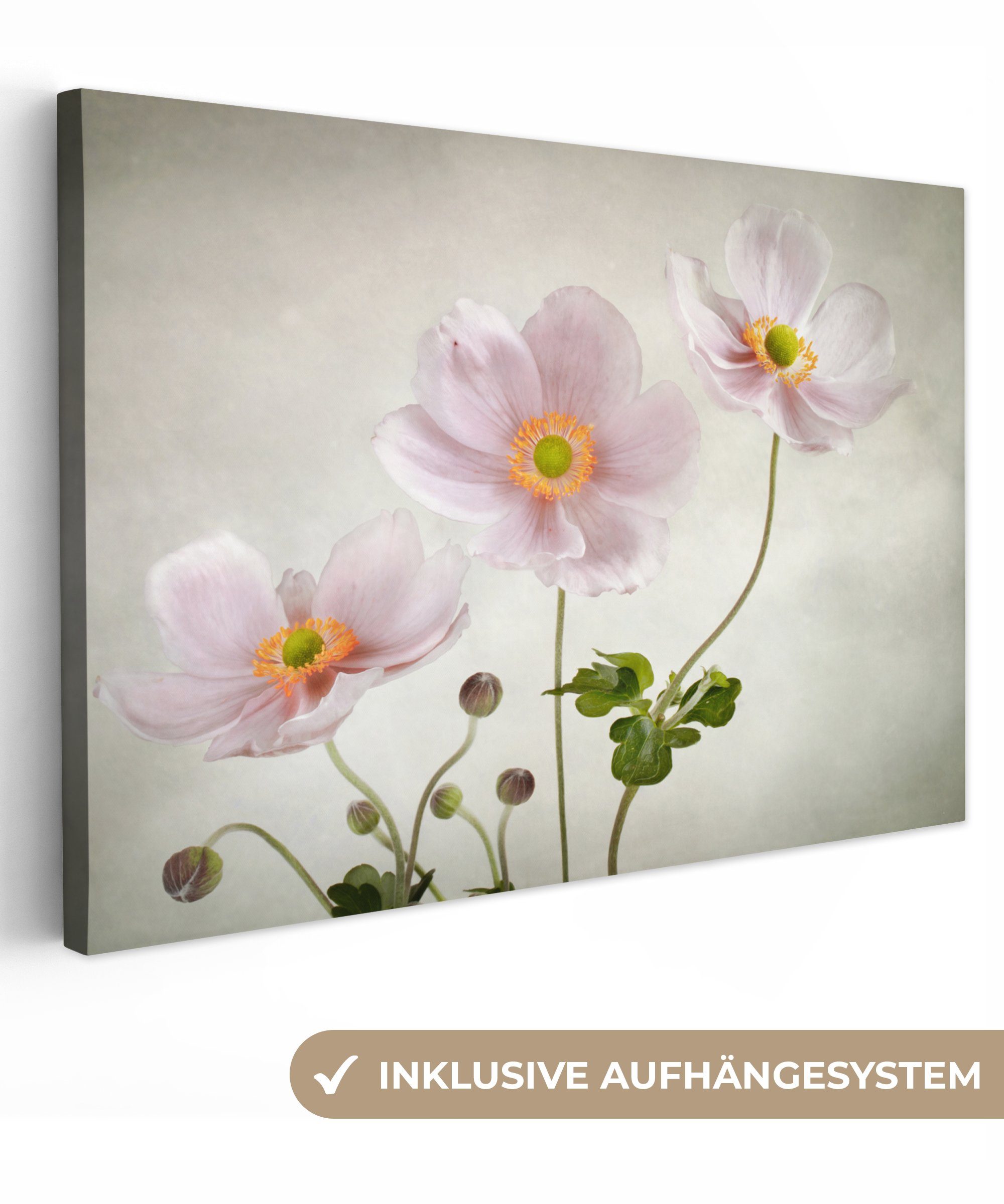 OneMillionCanvasses® Leinwandbild Blumen - Stillleben - Ölfarbe - Mohn - Rosa, (1 St), Wandbild Leinwandbilder, Aufhängefertig, Wanddeko, 30x20 cm