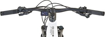 Prophete E-Bike DICE 5.0, 12 Gang Shimano, Kettenschaltung, Mittelmotor, 720 Wh Akku, Pedelec