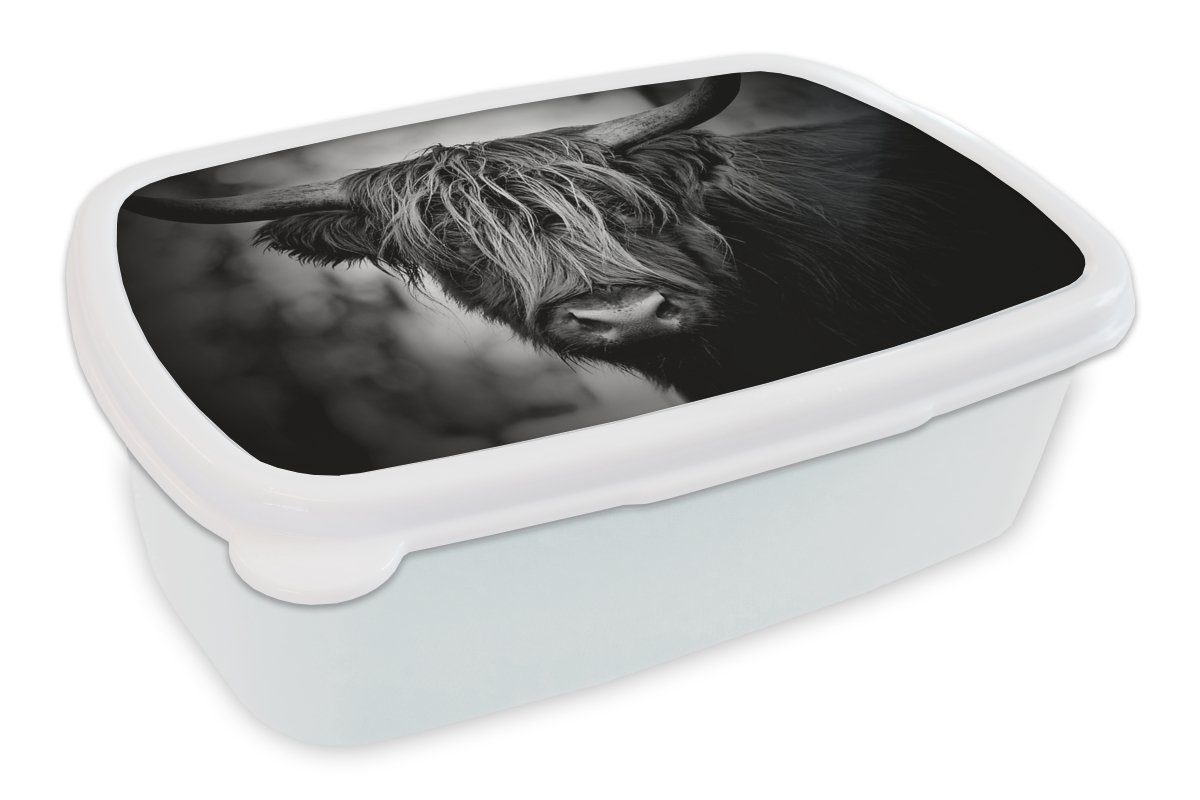 MuchoWow Lunchbox Schottischer Hochländer - Licht - Porträt - Natur, Kunststoff, (2-tlg), Brotbox für Kinder und Erwachsene, Brotdose, für Jungs und Mädchen weiß