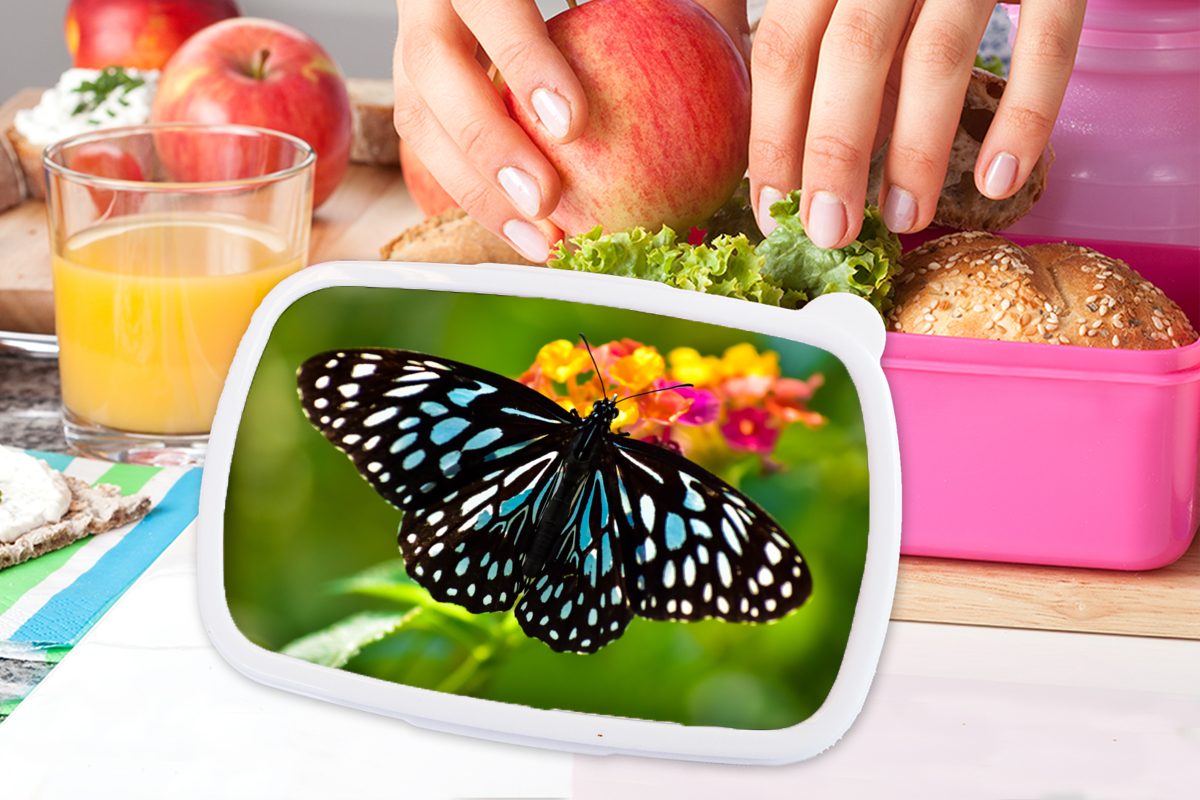 MuchoWow Lunchbox Blauer Tigerfalter, Kunststoff, für rosa Kunststoff Brotdose Mädchen, (2-tlg), Kinder, Brotbox Snackbox, Erwachsene